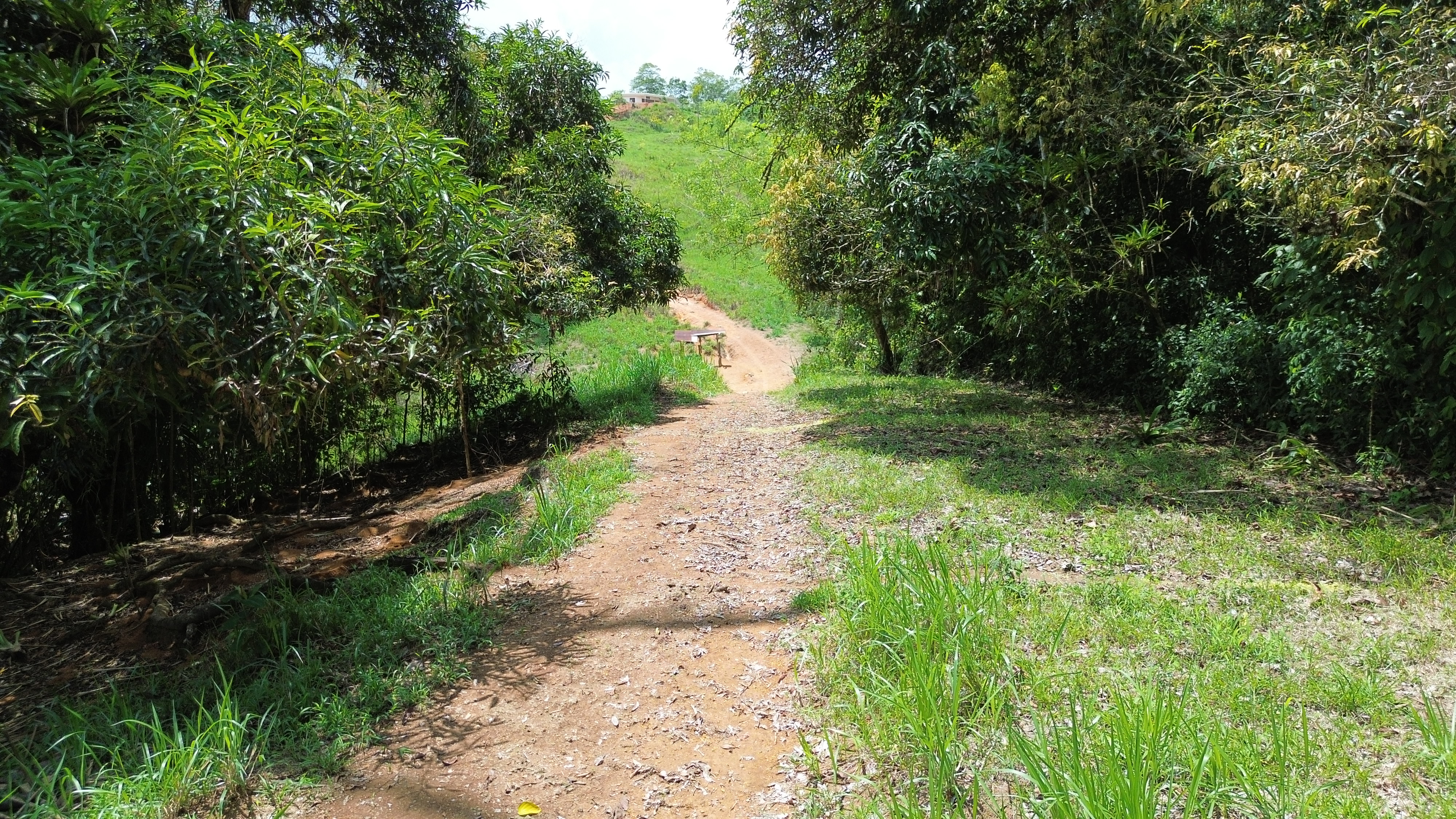 0 bed Land For Sale in Perez Zeledon, San Jose - thumb 9