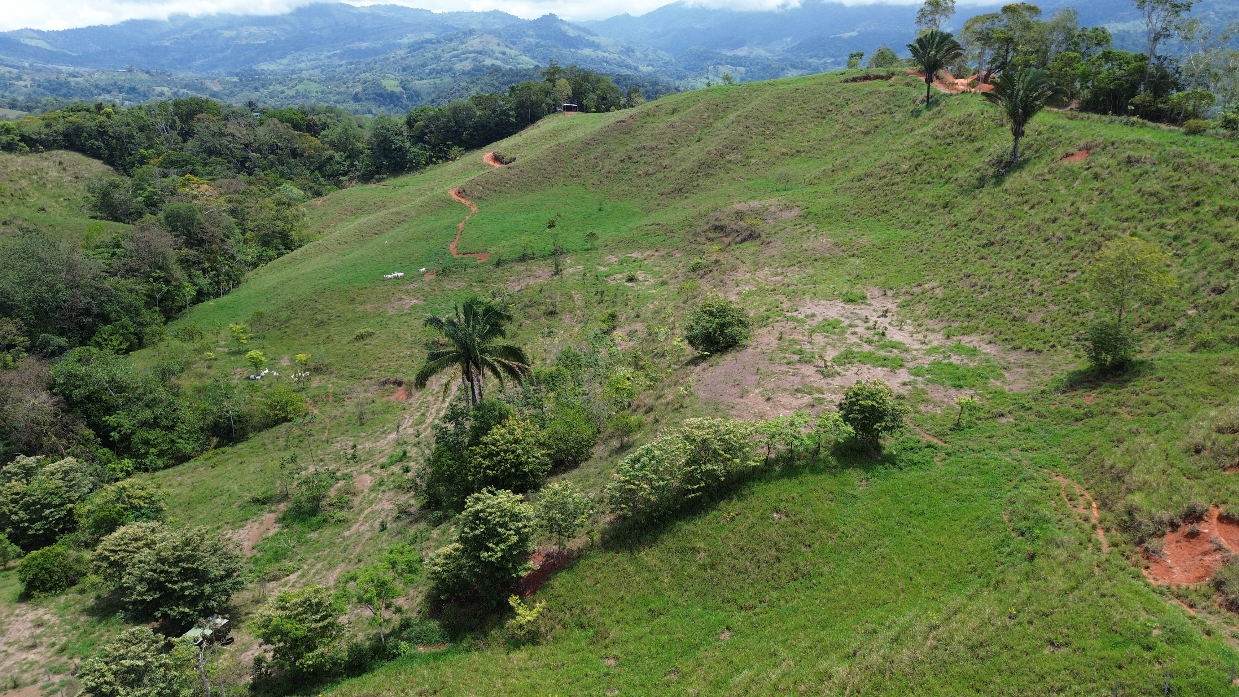 0 bed Land For Sale in Perez Zeledon, San Jose - thumb 3