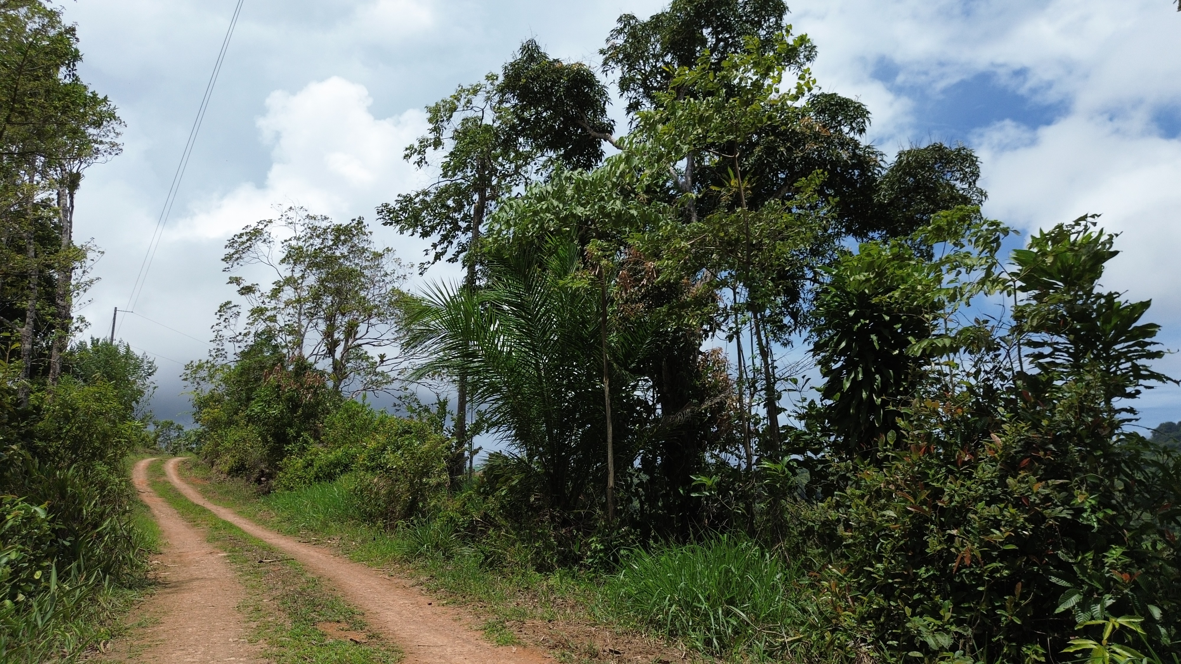 0 bed Land For Sale in Perez Zeledon, San Jose - thumb 17