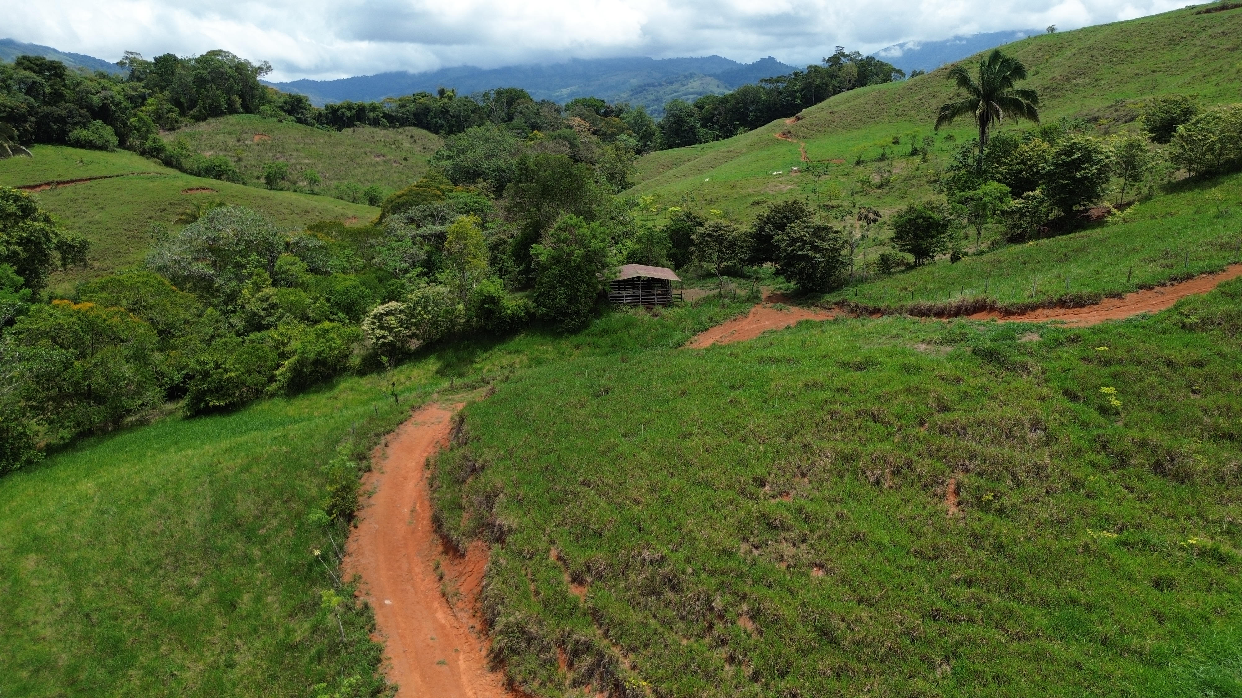 0 bed Land For Sale in Perez Zeledon, San Jose - thumb 11