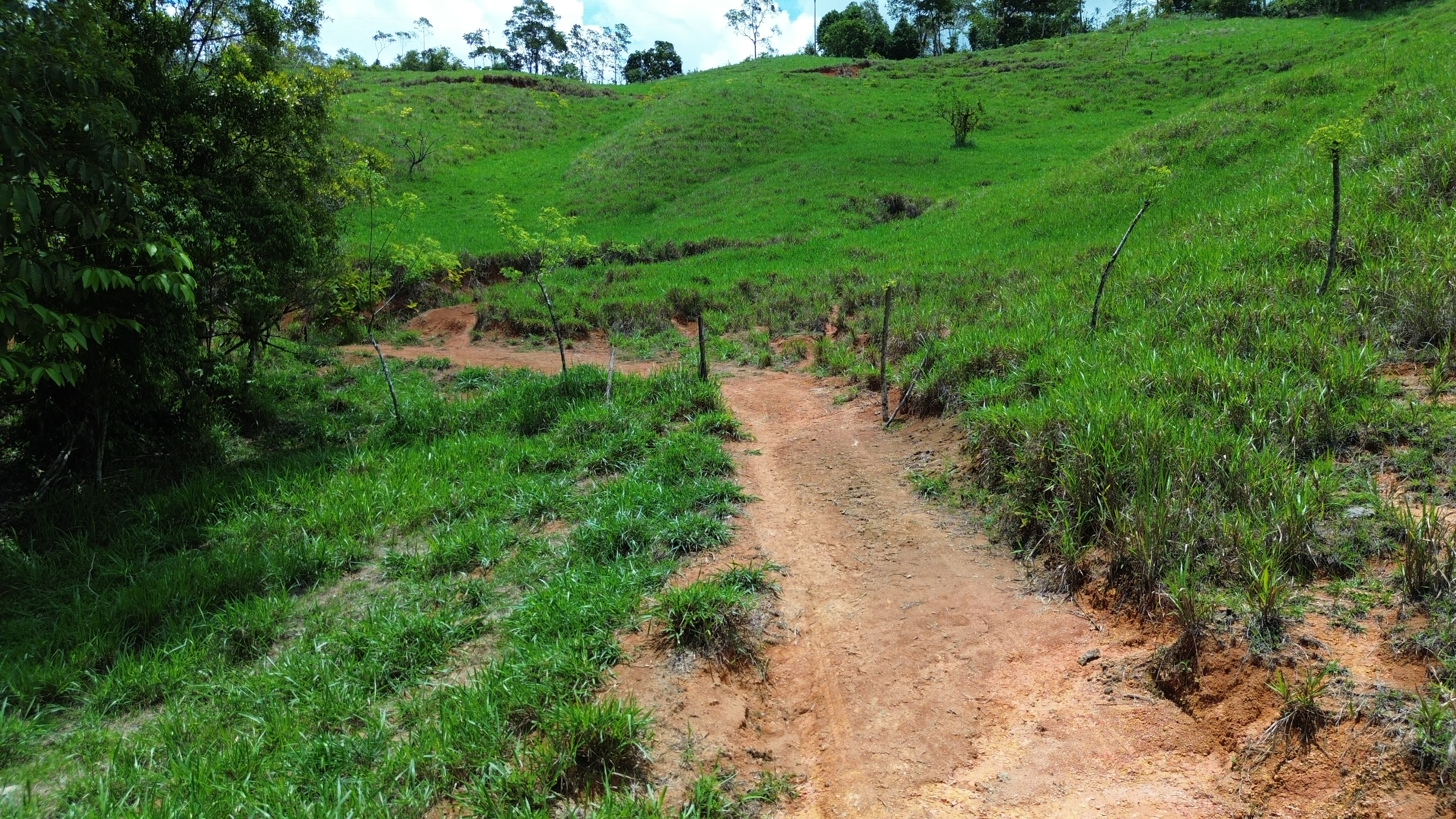 0 bed Land For Sale in Perez Zeledon, San Jose - thumb 10