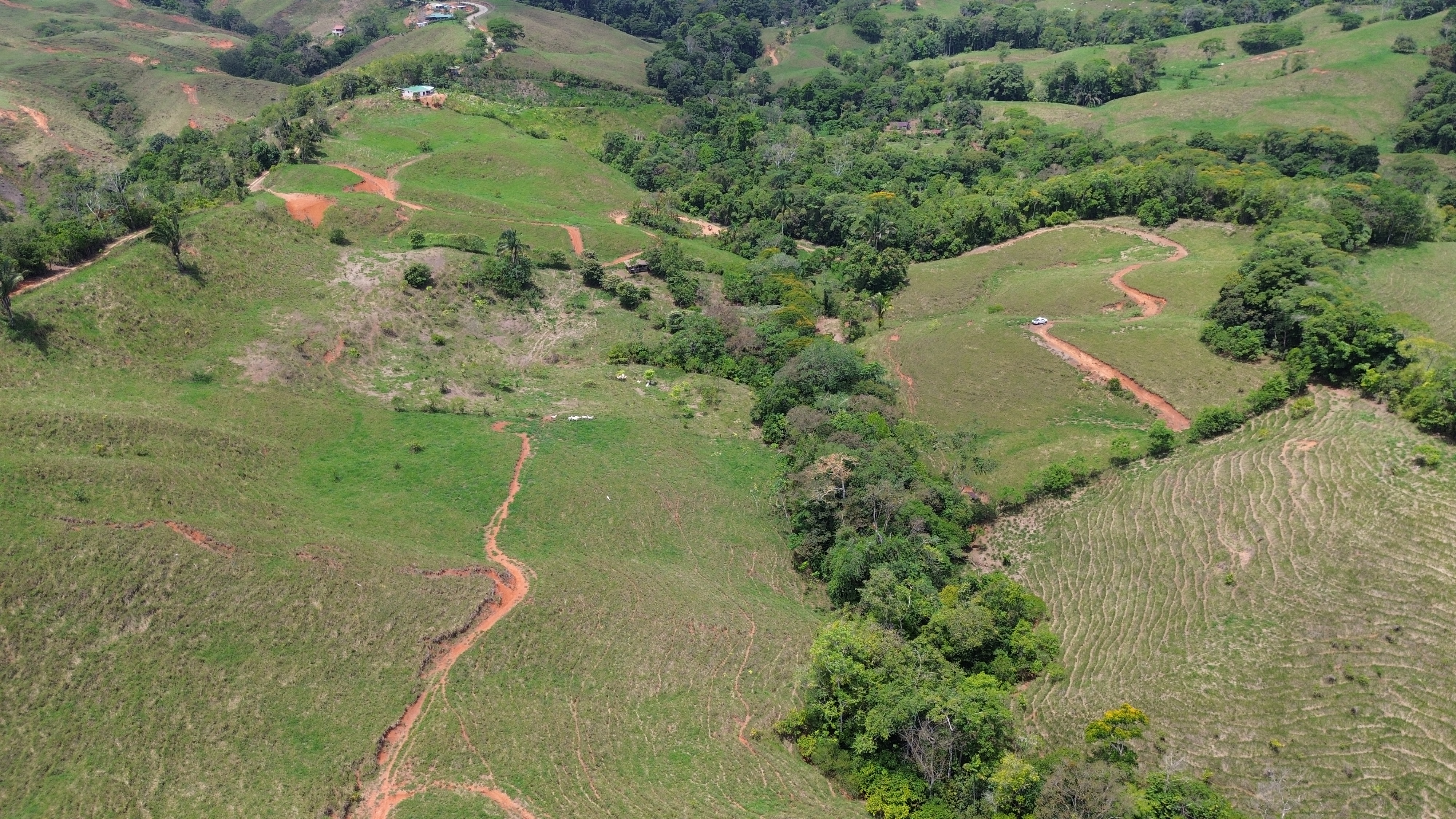 0 bed Land For Sale in Perez Zeledon, San Jose - thumb 4