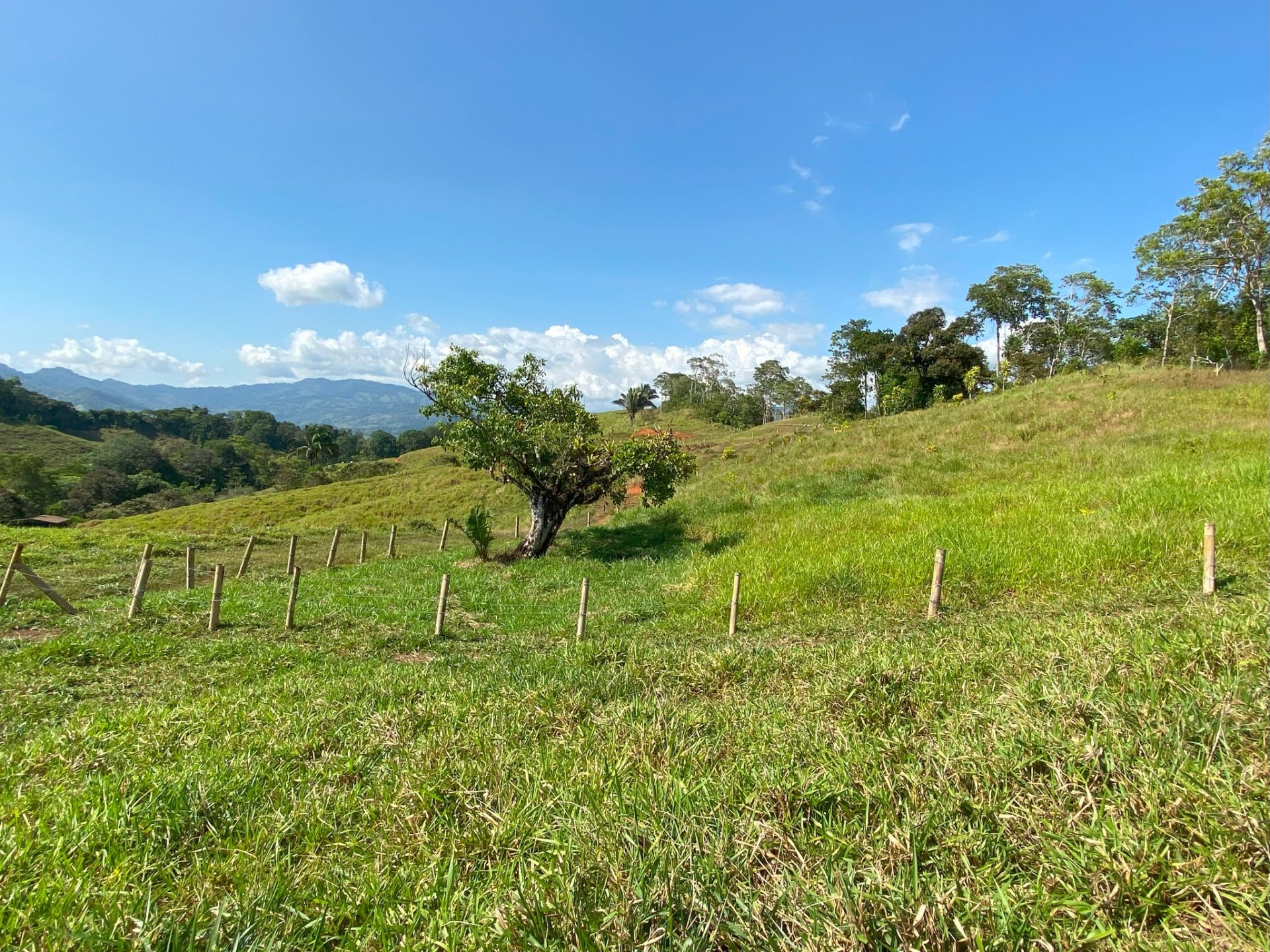 0 bed Land For Sale in Perez Zeledon, San Jose - thumb 20