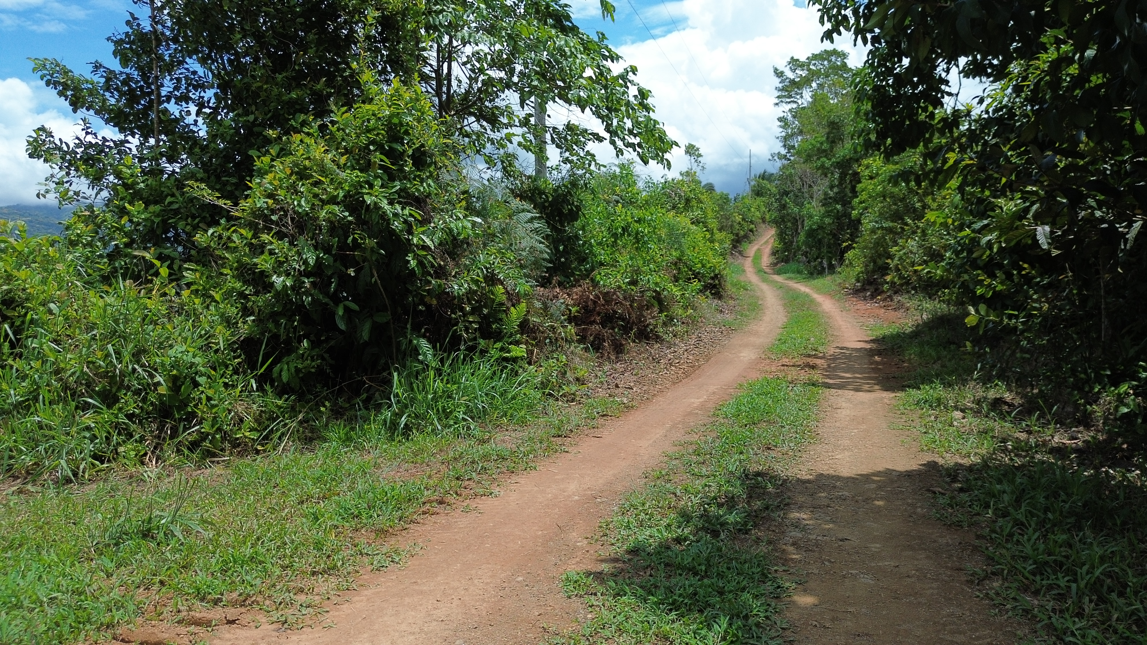 0 bed Land For Sale in Perez Zeledon, San Jose - thumb 16