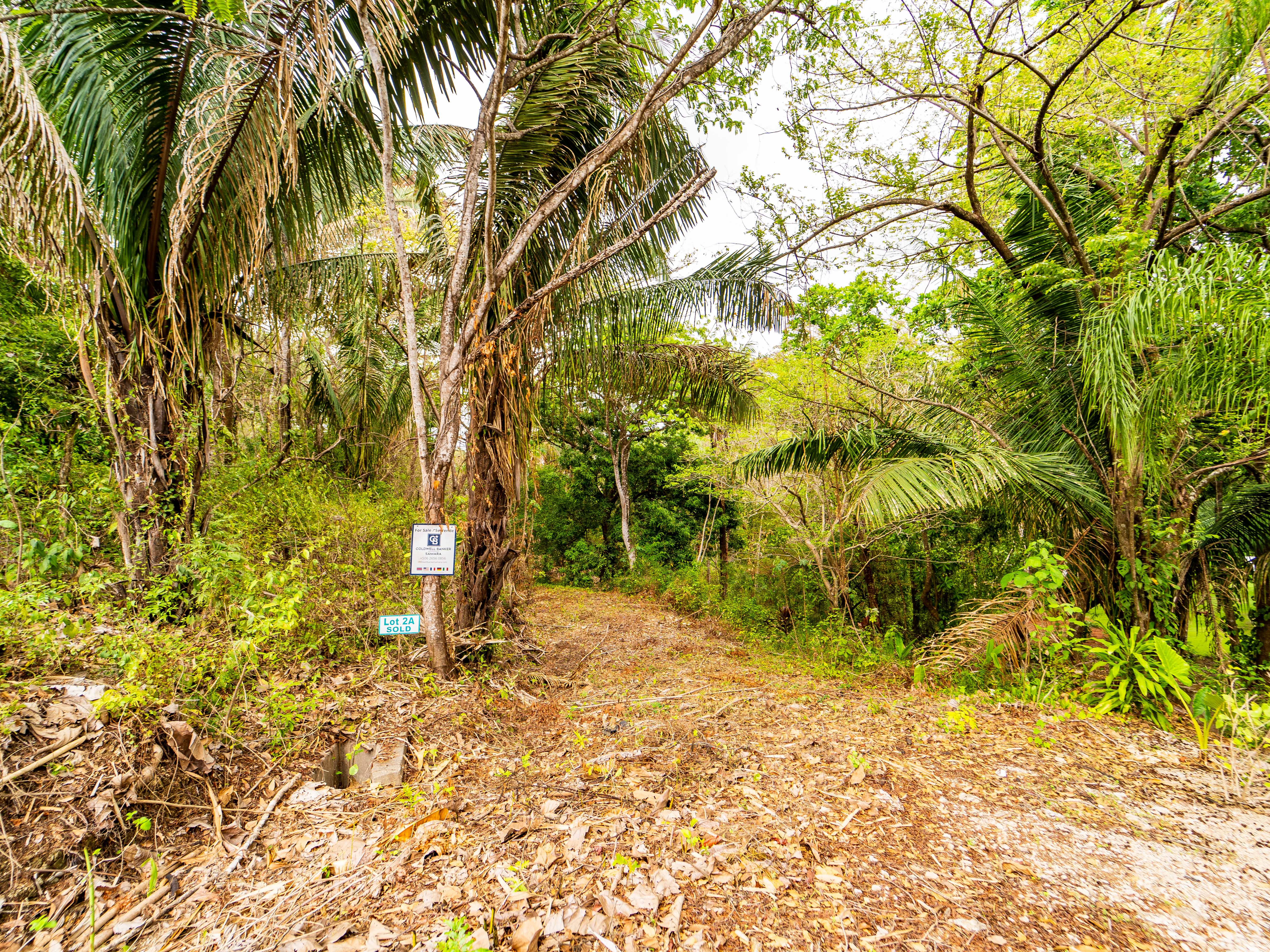 0 bed Land For Sale in Samara, Guanacaste - thumb 5