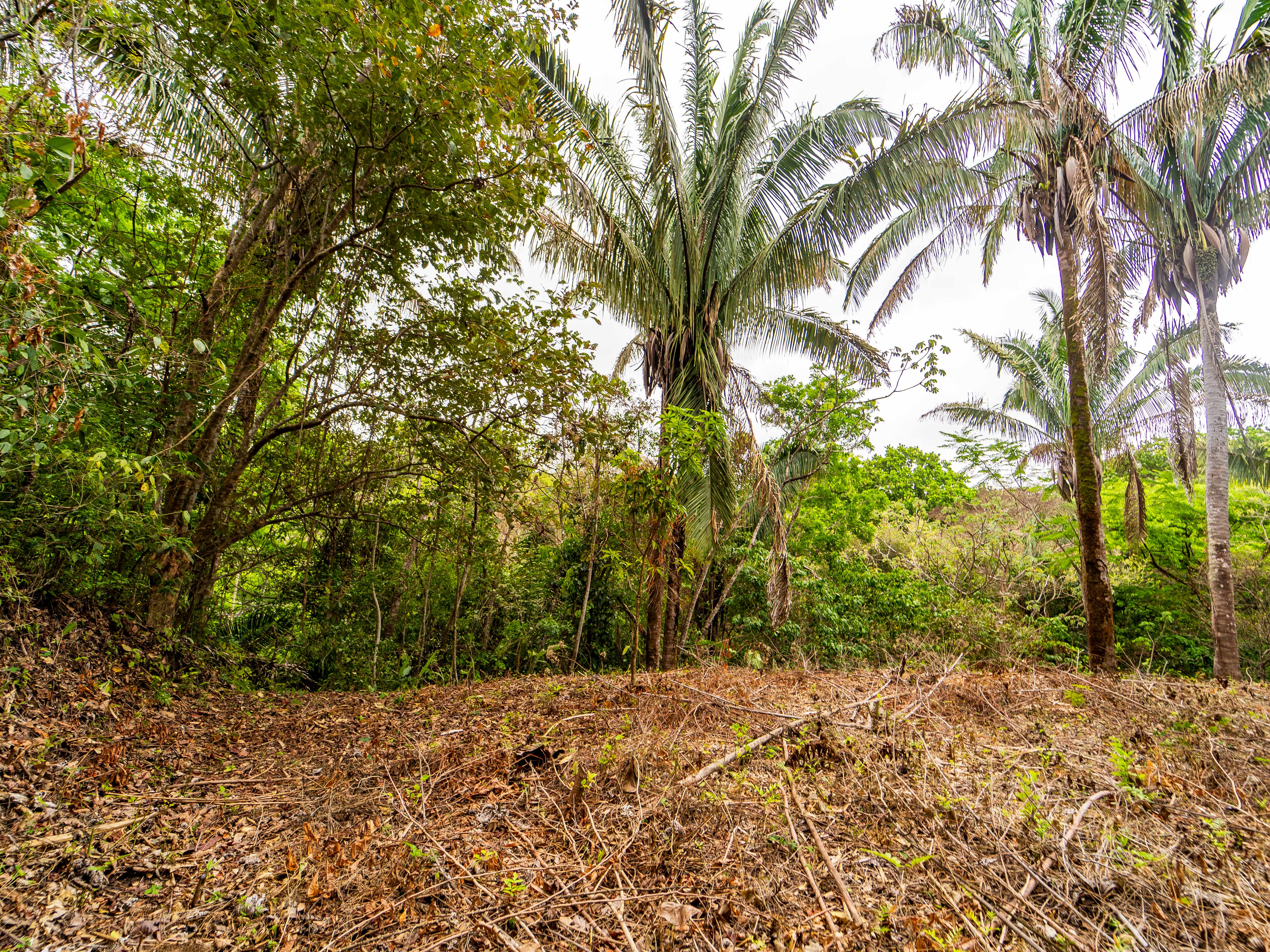 0 bed Land For Sale in Samara, Guanacaste - thumb 13