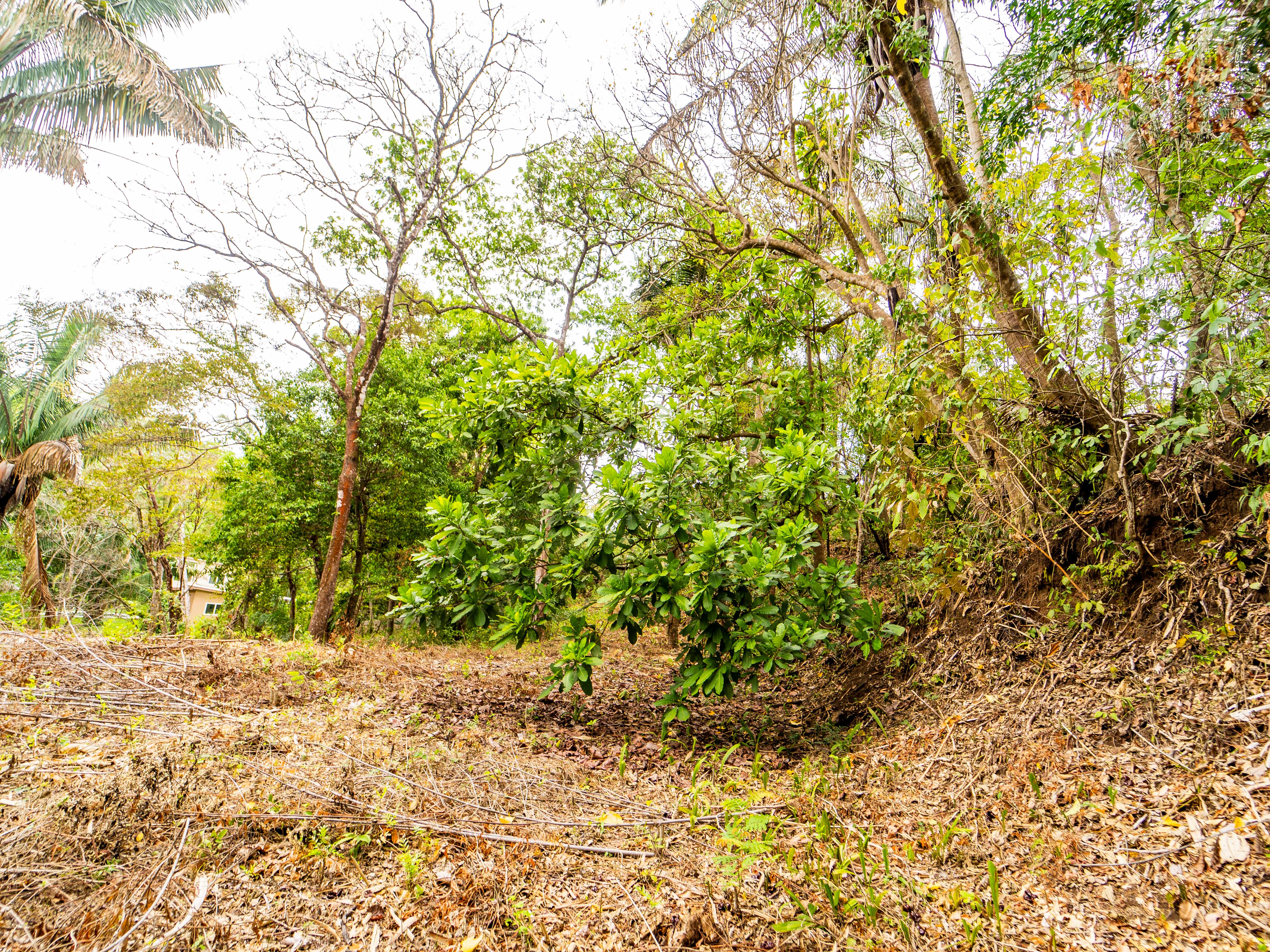 0 bed Land For Sale in Samara, Guanacaste - thumb 14