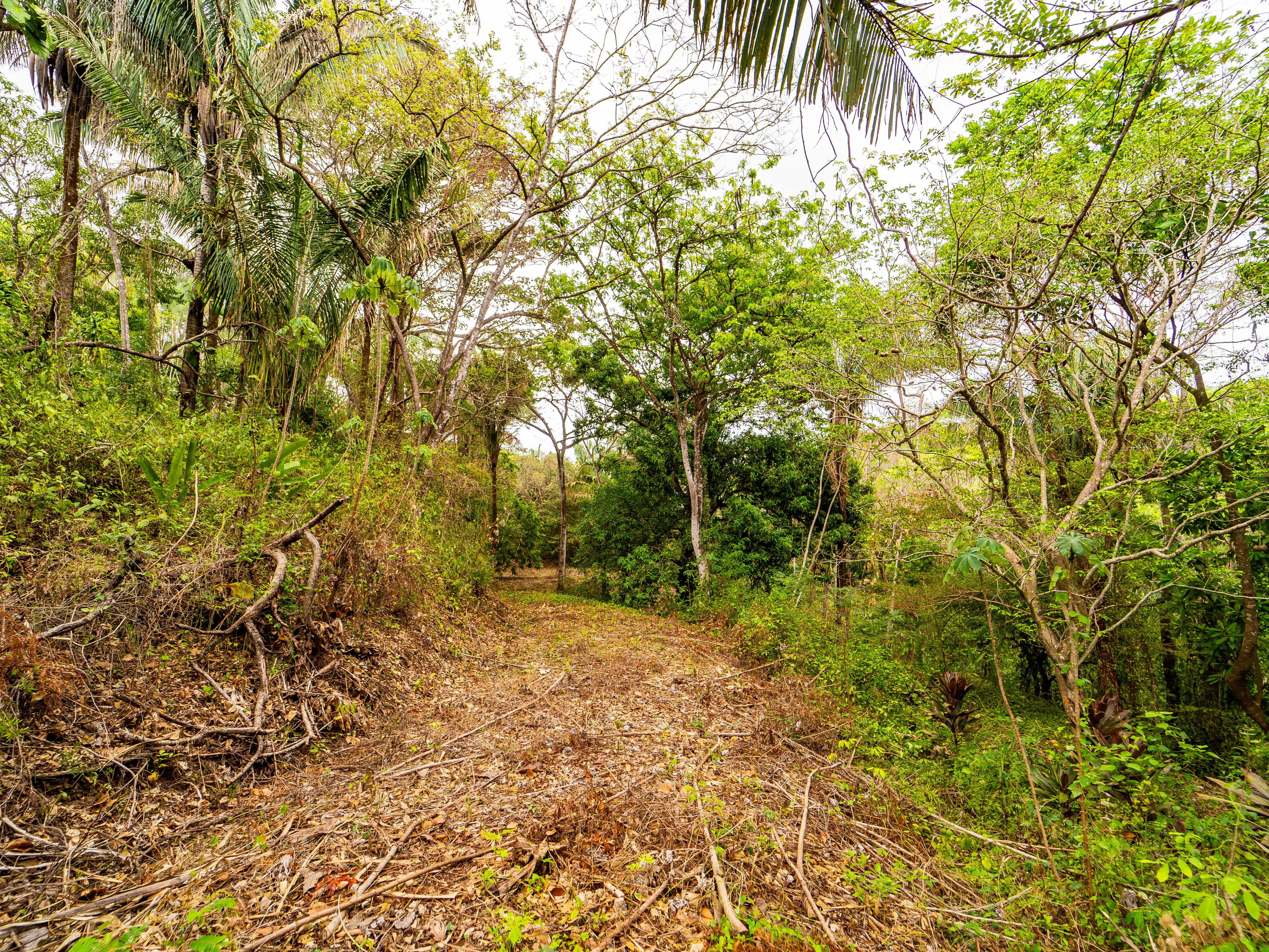 0 bed Land For Sale in Samara, Guanacaste - thumb 6
