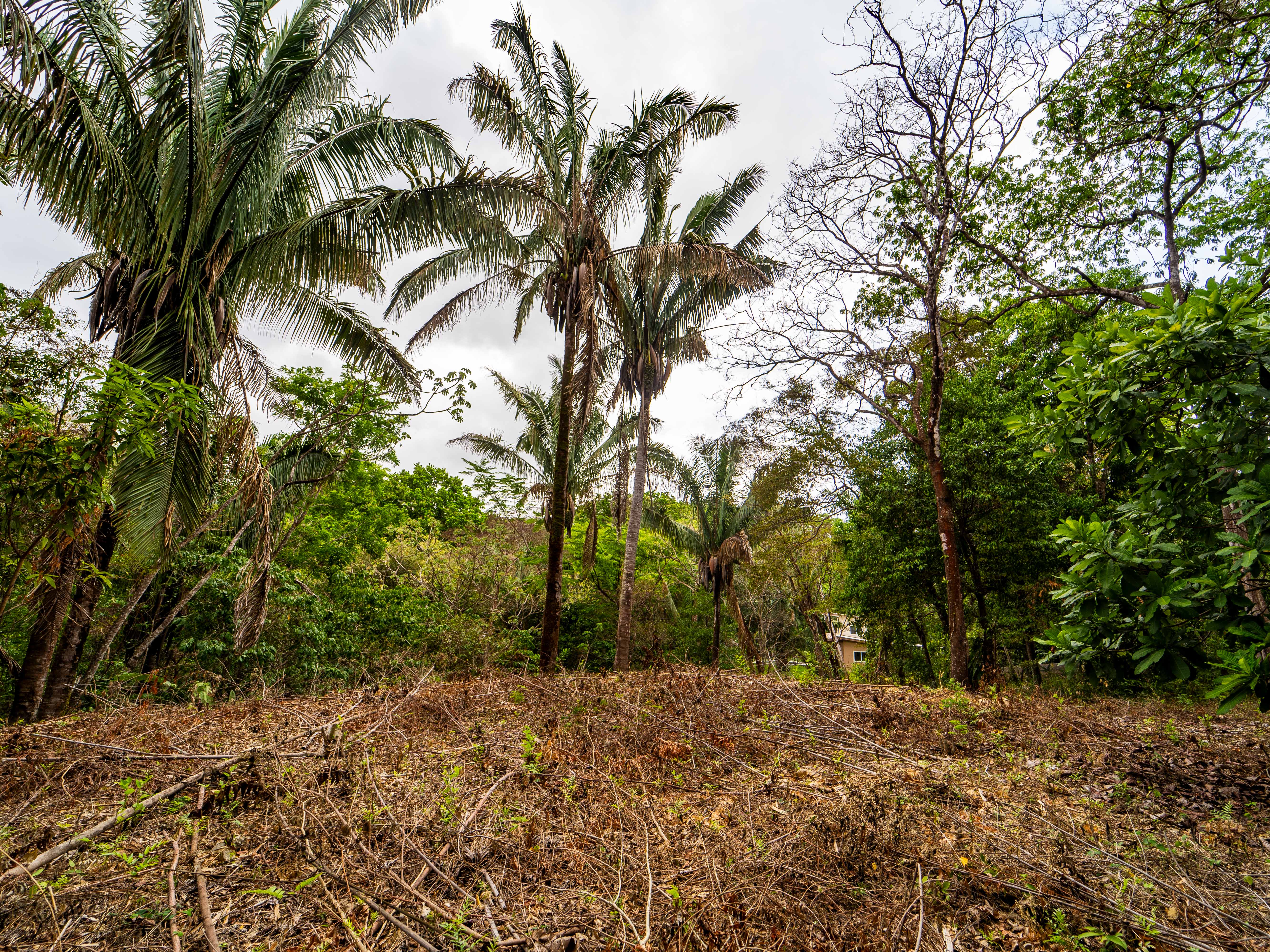 0 bed Land For Sale in Samara, Guanacaste - thumb 12