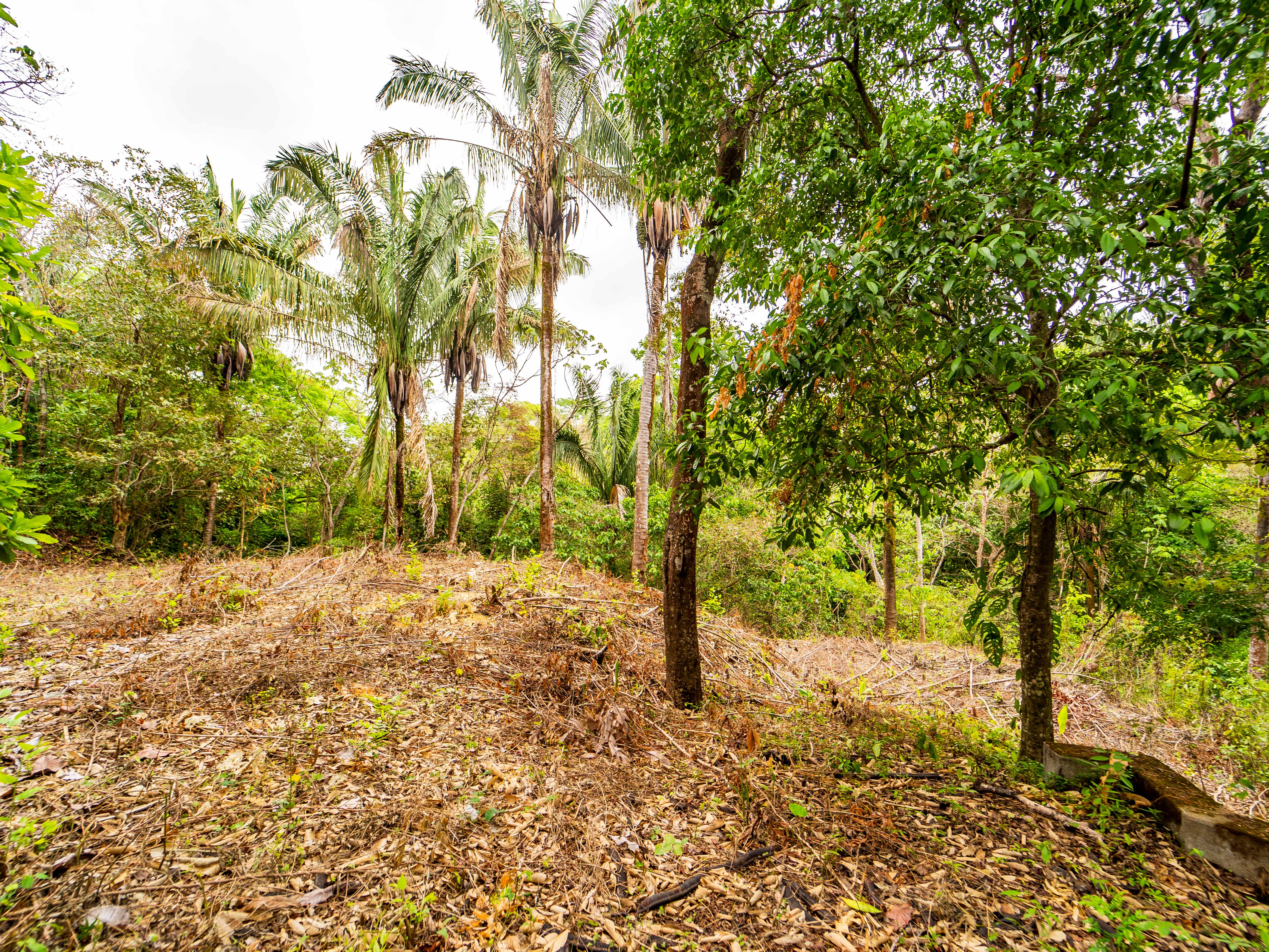 0 bed Land For Sale in Samara, Guanacaste - thumb 9