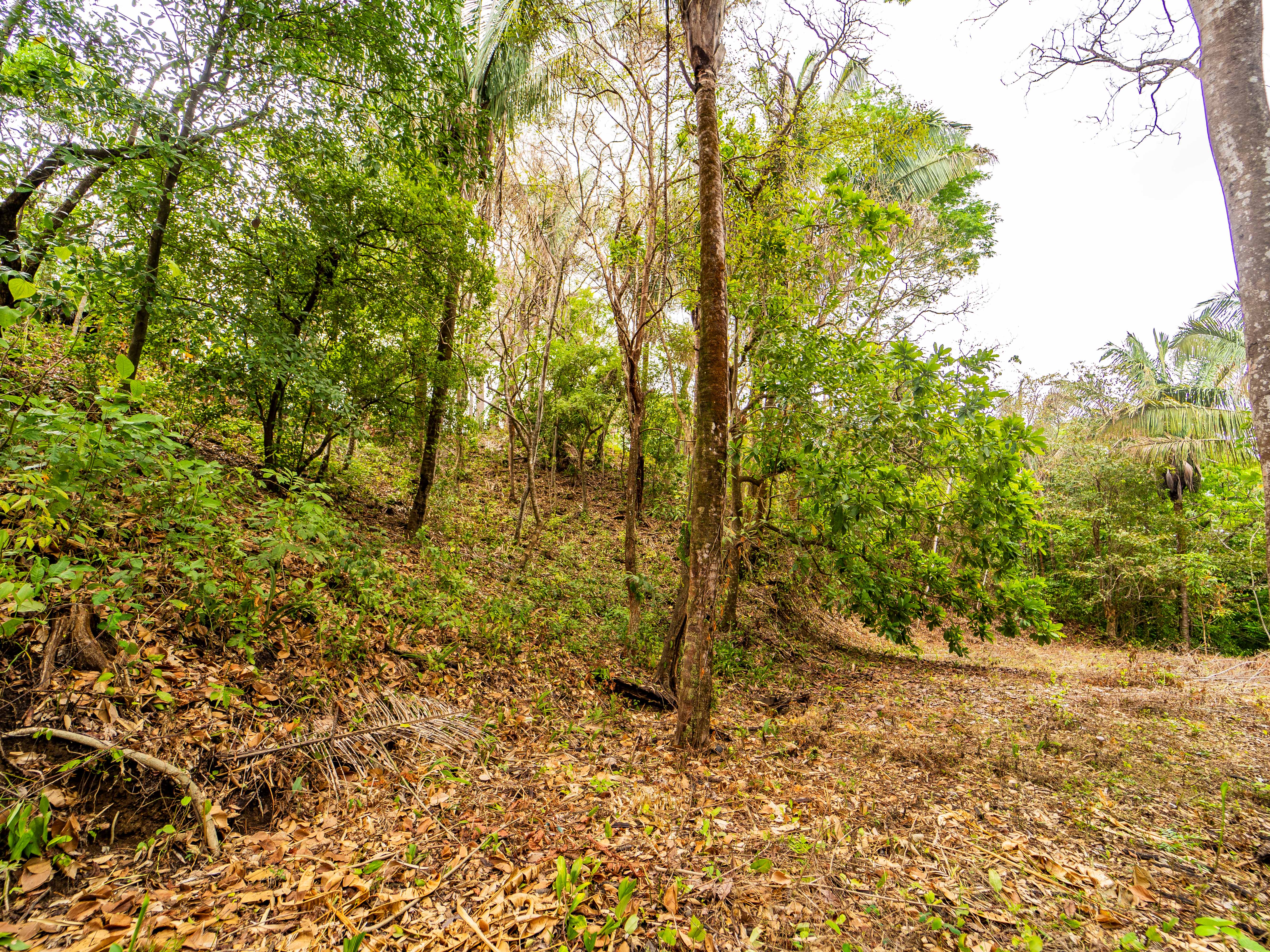 0 bed Land For Sale in Samara, Guanacaste - thumb 8