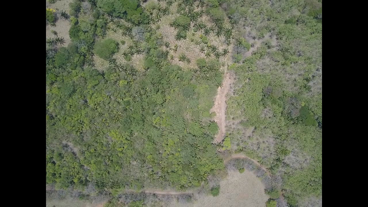 0 bed Land For Sale in PlayaCoyote, Guanacaste - thumb 6