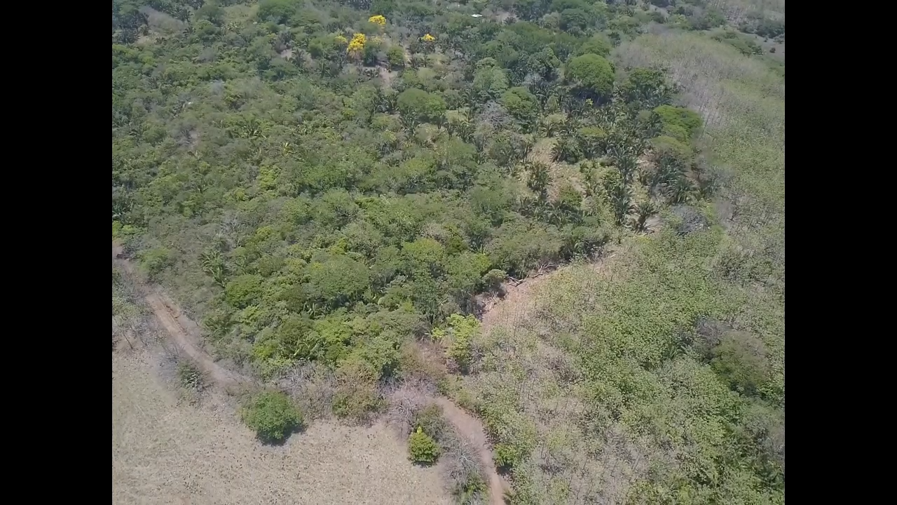 0 bed Land For Sale in PlayaCoyote, Guanacaste - thumb 5