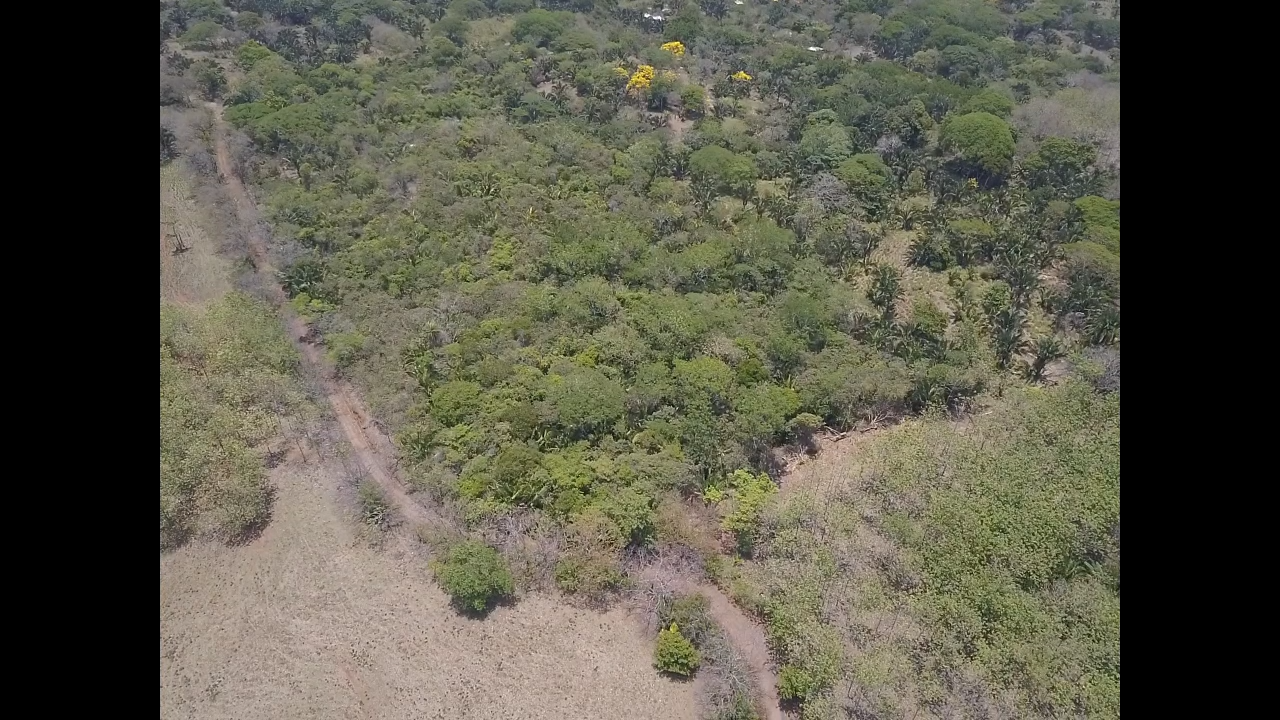 0 bed Land For Sale in PlayaCoyote, Guanacaste - thumb 4
