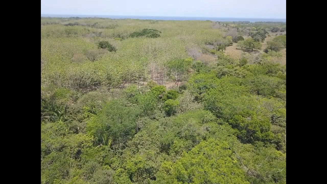 0 bed Land For Sale in PlayaCoyote, Guanacaste - thumb 2
