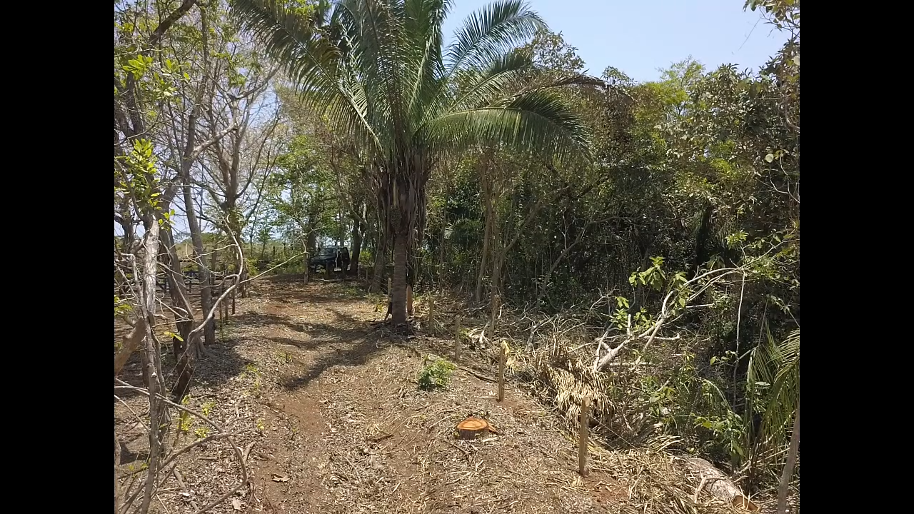 0 bed Land For Sale in PlayaCoyote, Guanacaste - thumb 11