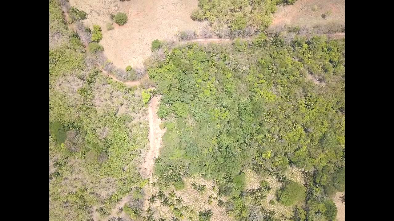 0 bed Land For Sale in PlayaCoyote, Guanacaste - thumb 10