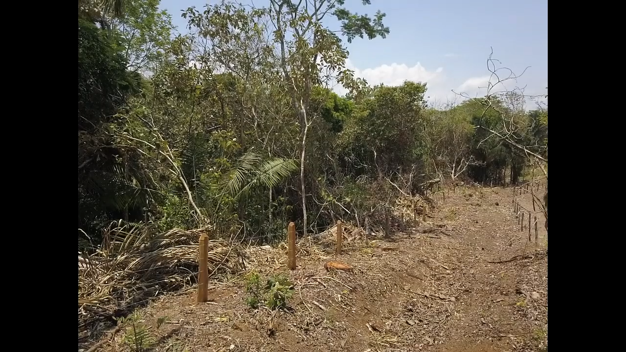 0 bed Land For Sale in PlayaCoyote, Guanacaste - thumb 16