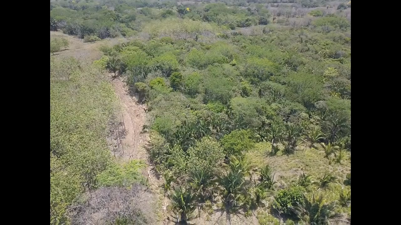 0 bed Land For Sale in PlayaCoyote, Guanacaste - thumb 3