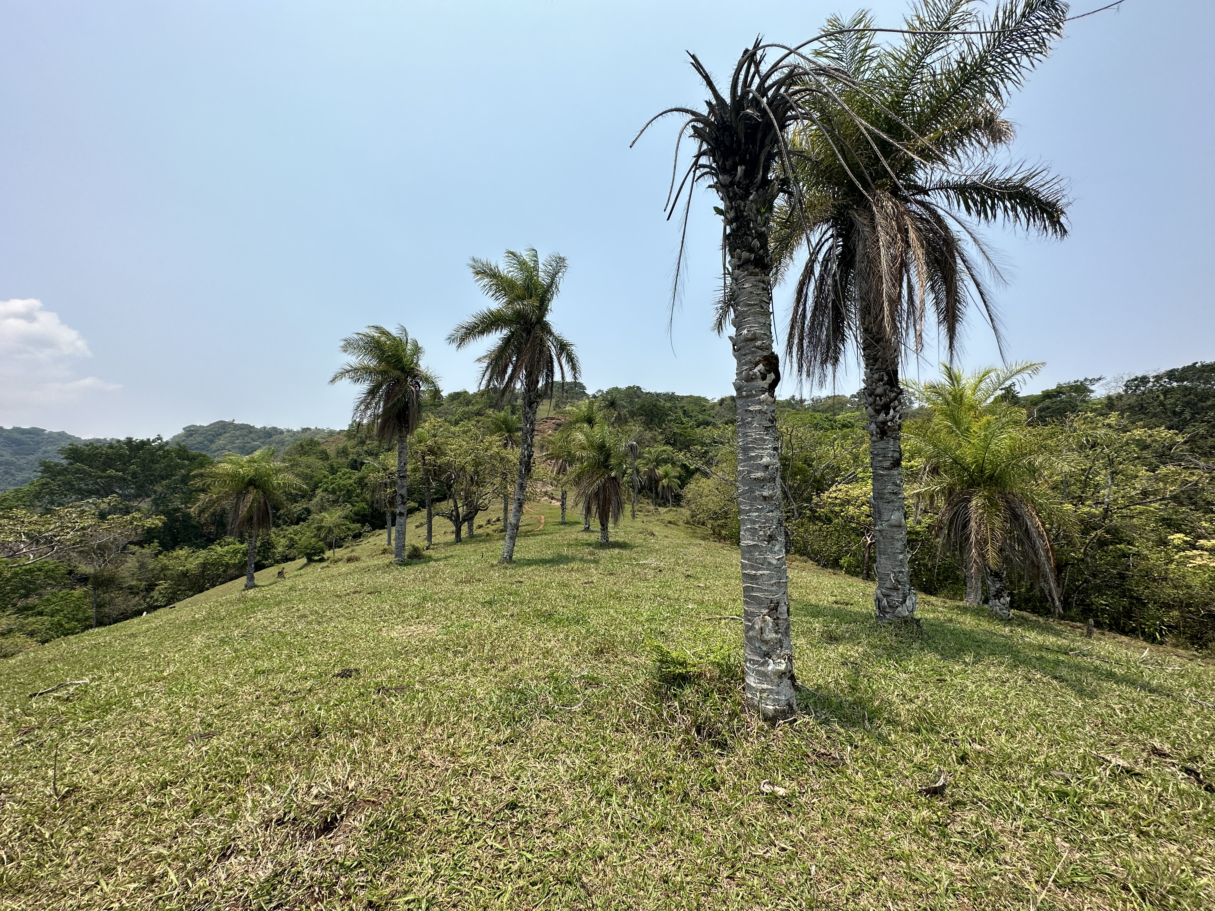 8 bed Commercial For Sale in San Pablo, San Jose - thumb 21