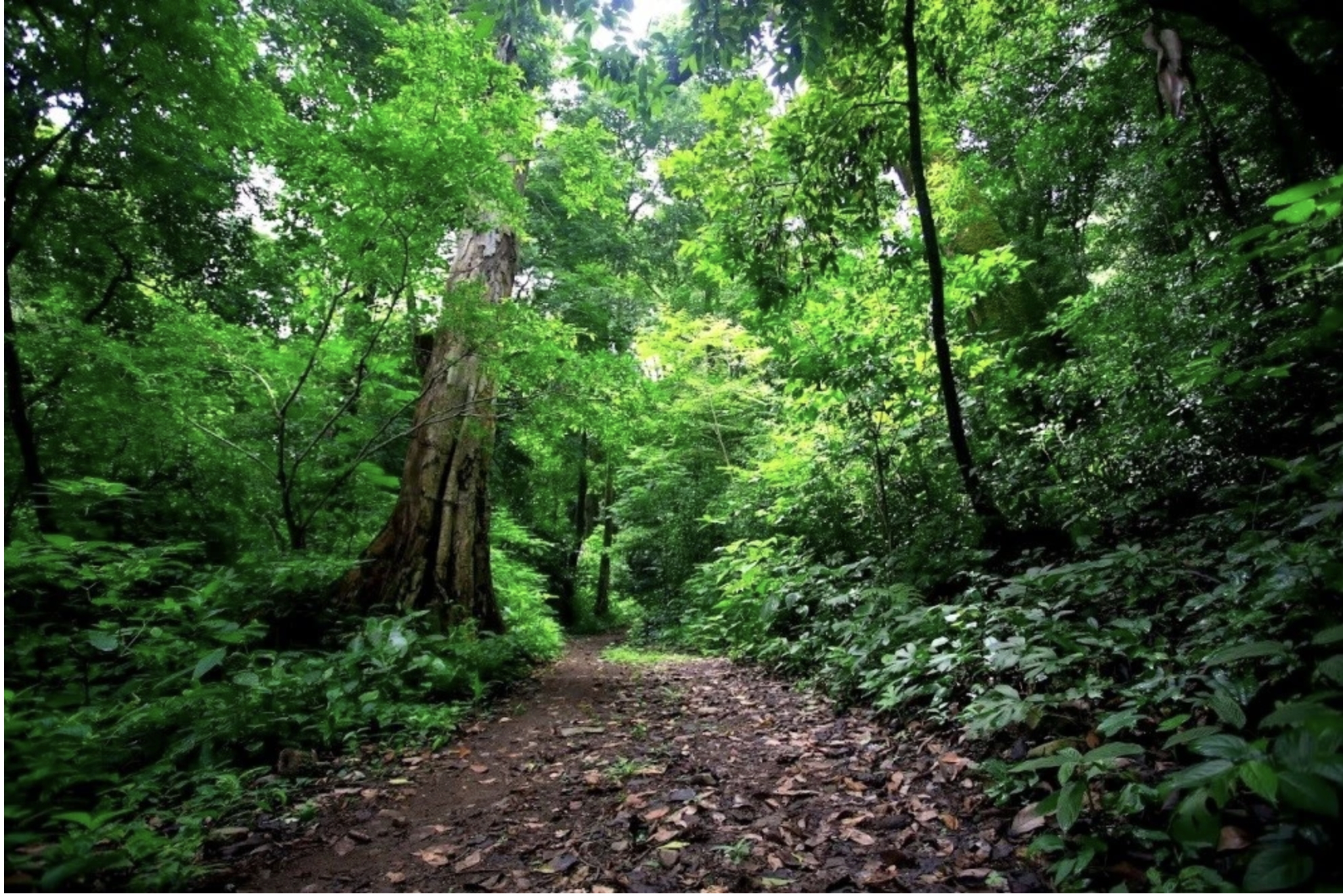 8 bed Commercial For Sale in San Pablo, San Jose - thumb 9