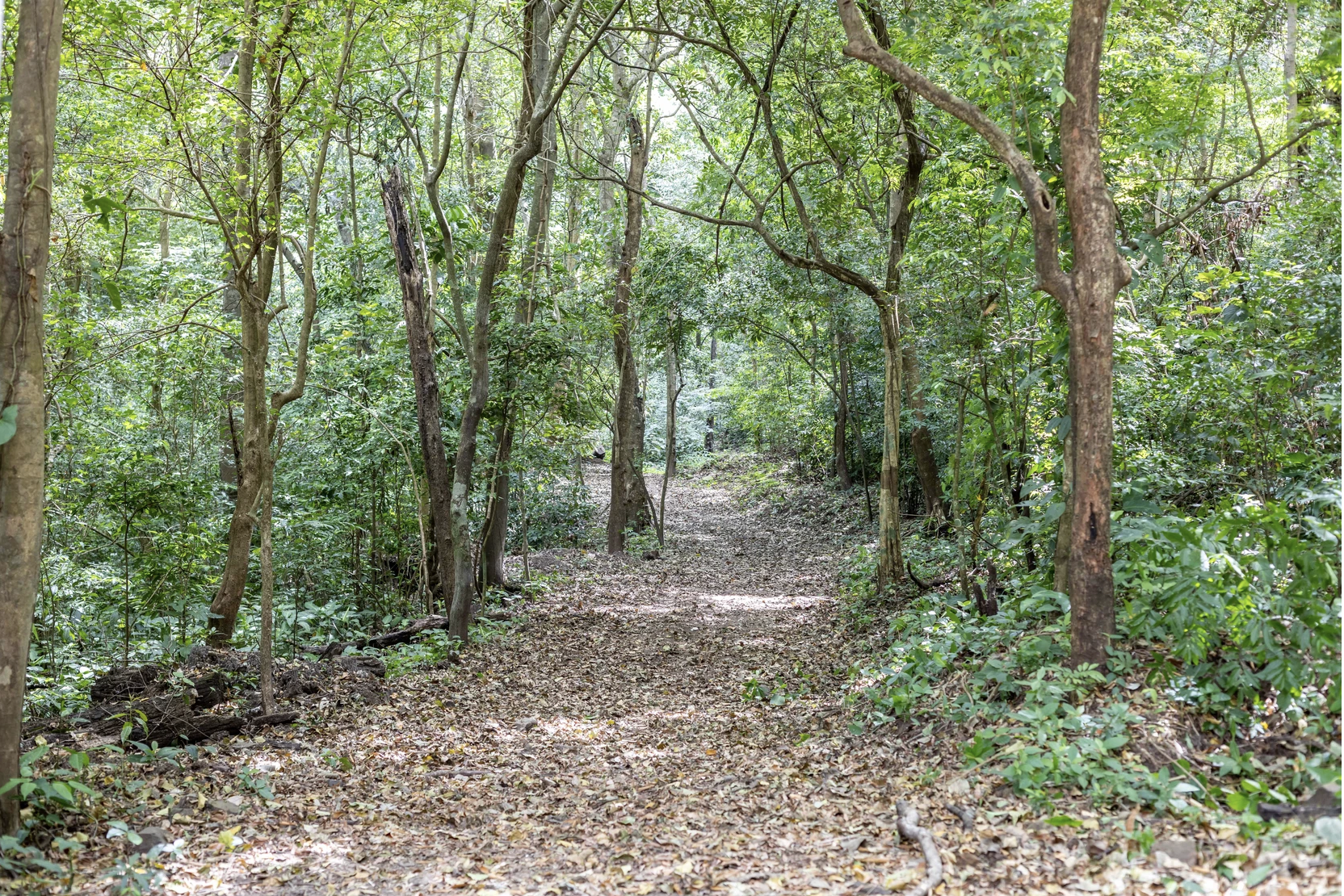 8 bed Commercial For Sale in San Pablo, San Jose - thumb 13