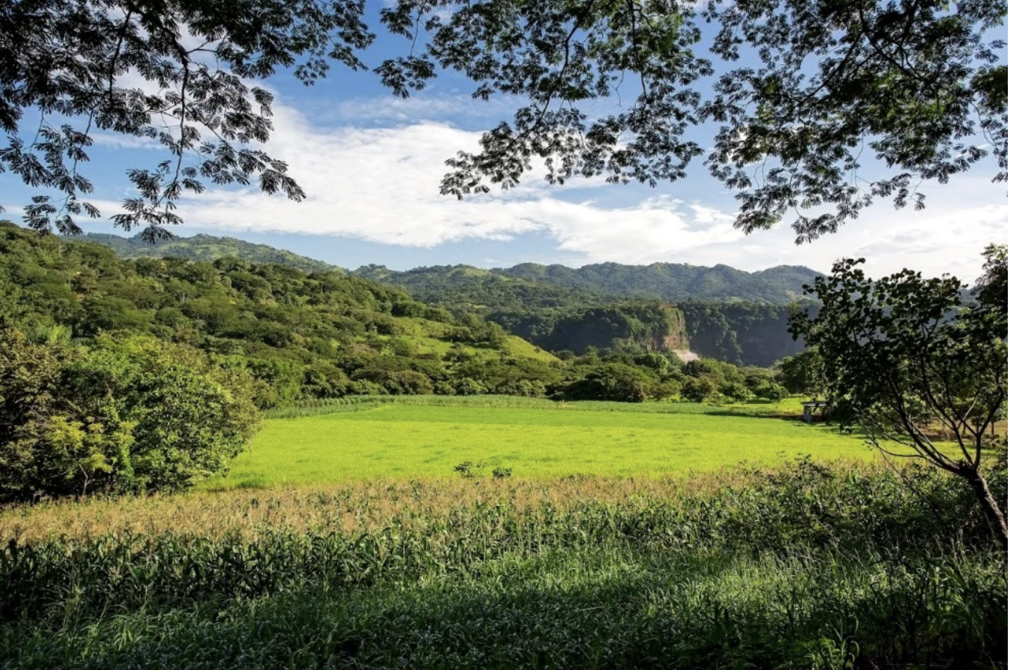 8 bed Commercial For Sale in San Pablo, San Jose - thumb 1