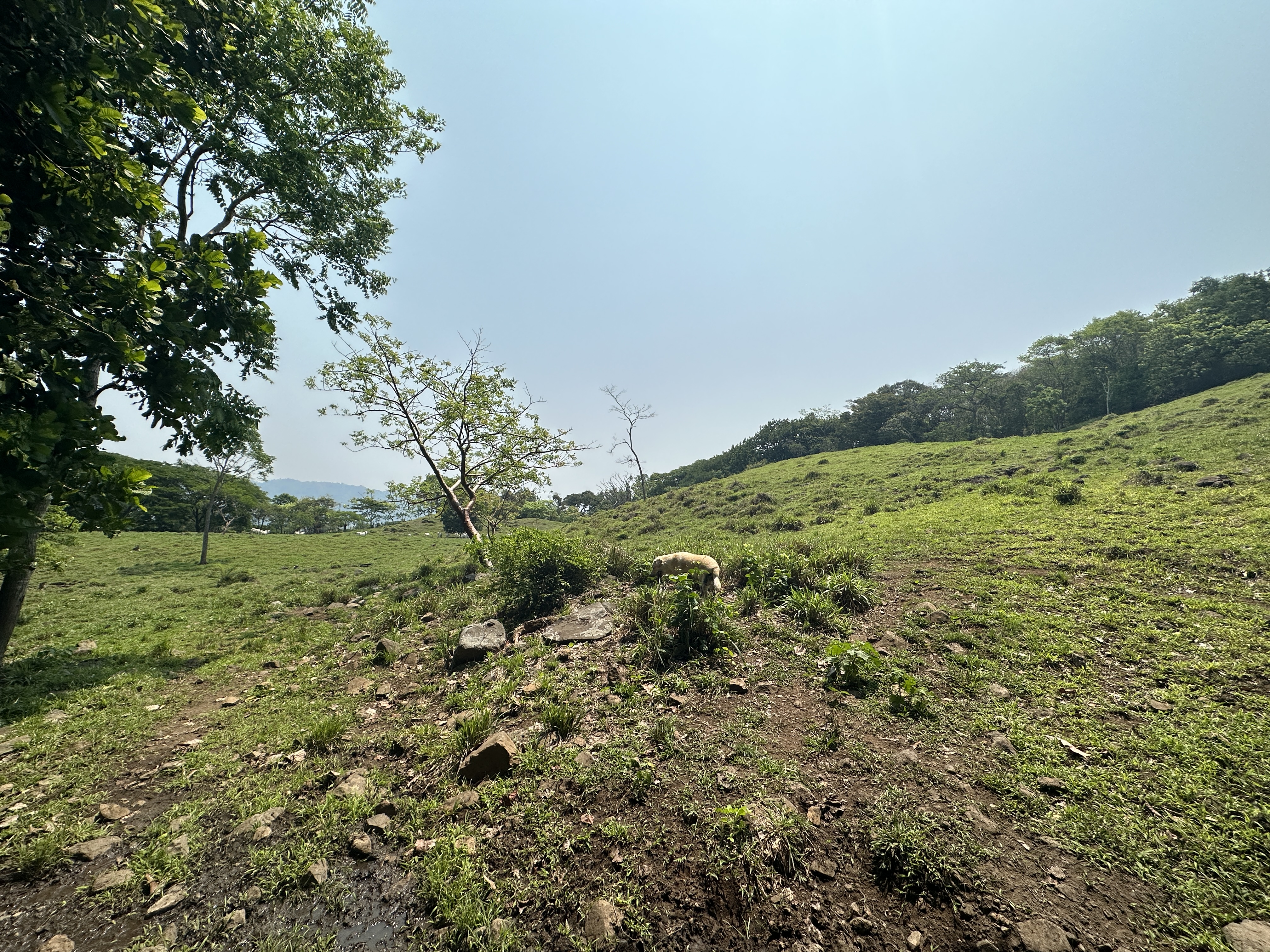 8 bed Commercial For Sale in San Pablo, San Jose - thumb 18