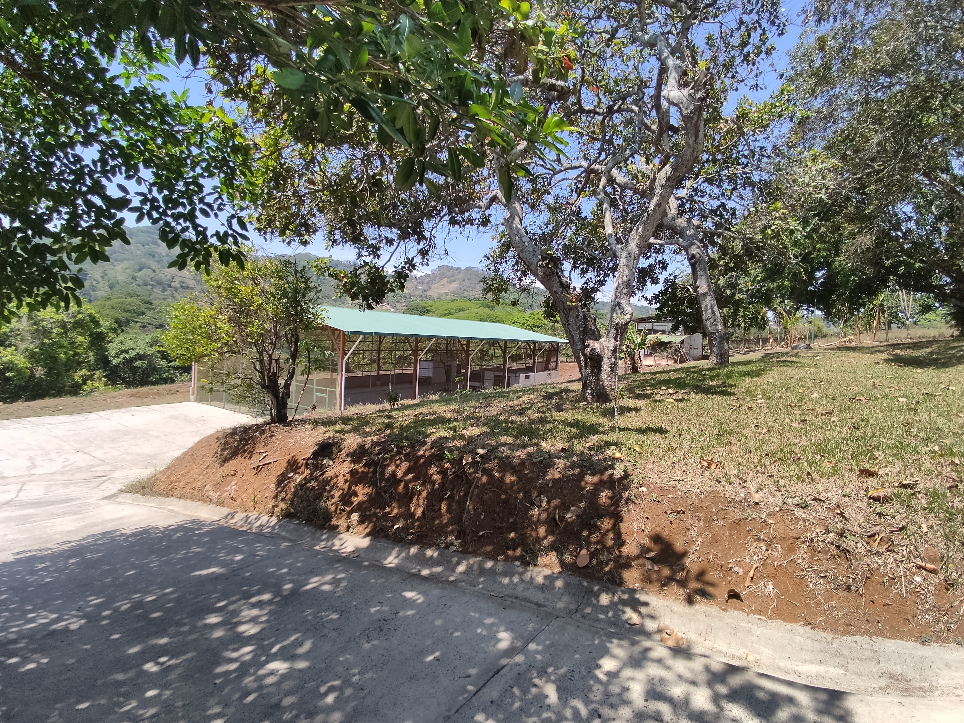 4 bed Single Family Homes For Sale in Atenas, Alajuela - thumb 12