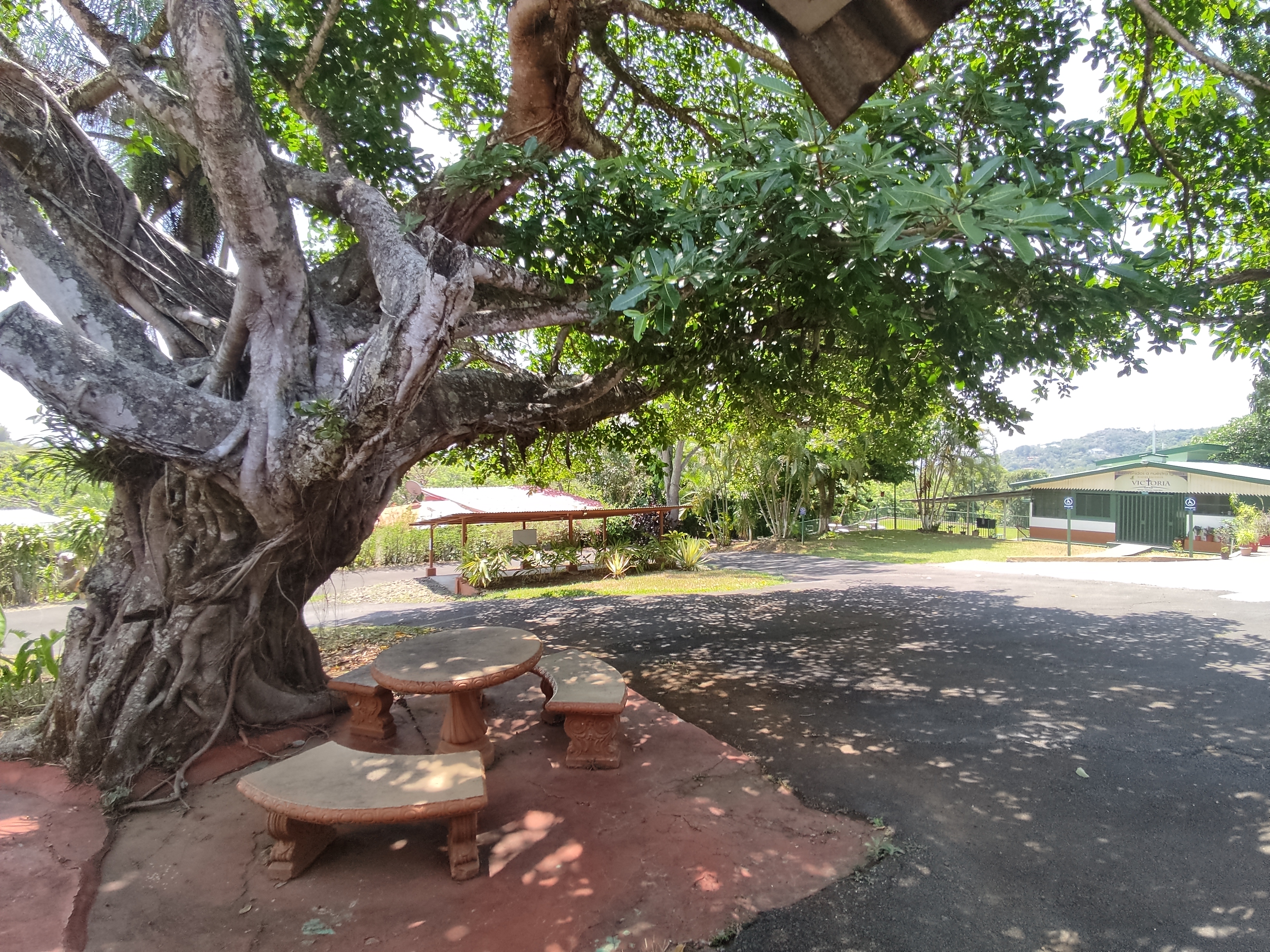 4 bed Single Family Homes For Sale in Atenas, Alajuela - thumb 3