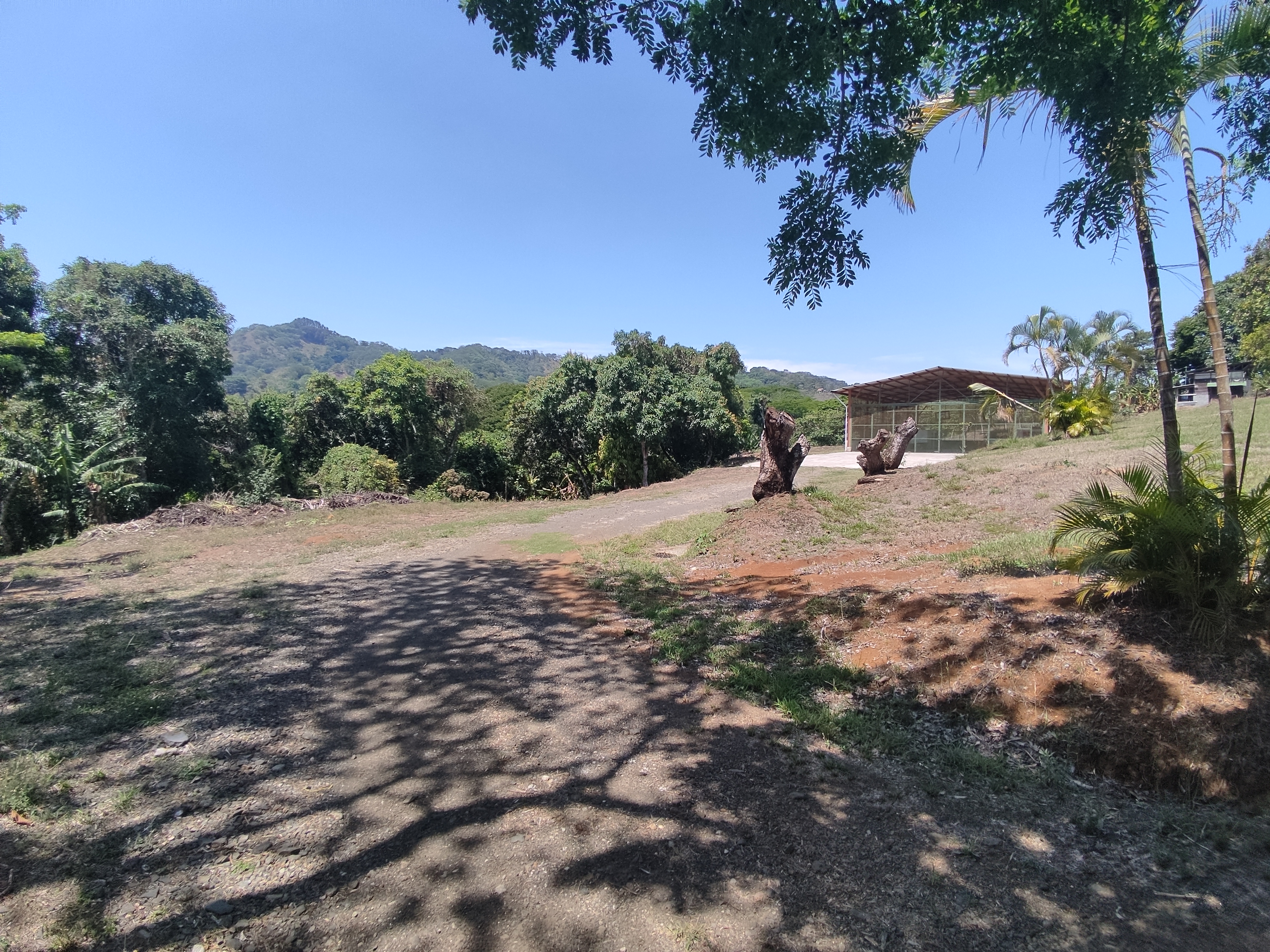 4 bed Single Family Homes For Sale in Atenas, Alajuela - thumb 10