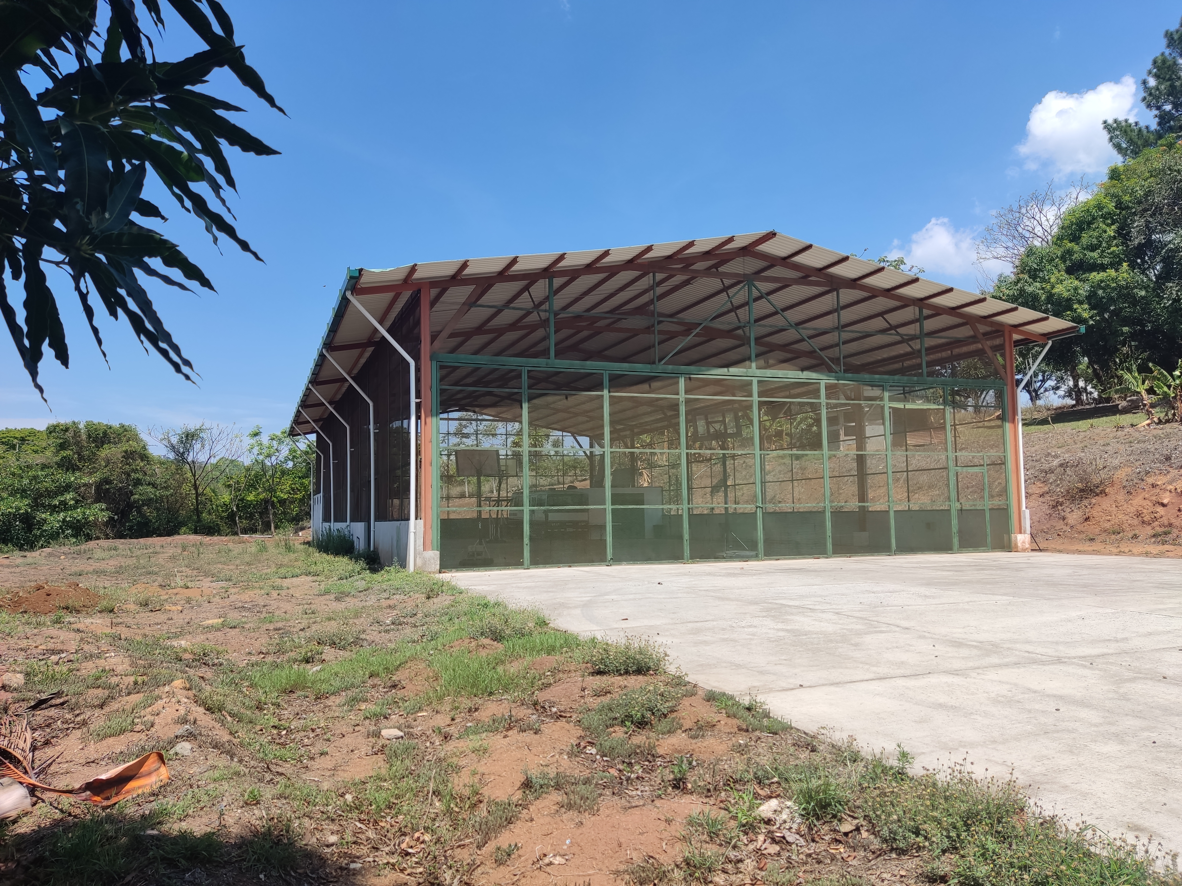 4 bed Single Family Homes For Sale in Atenas, Alajuela - thumb 2