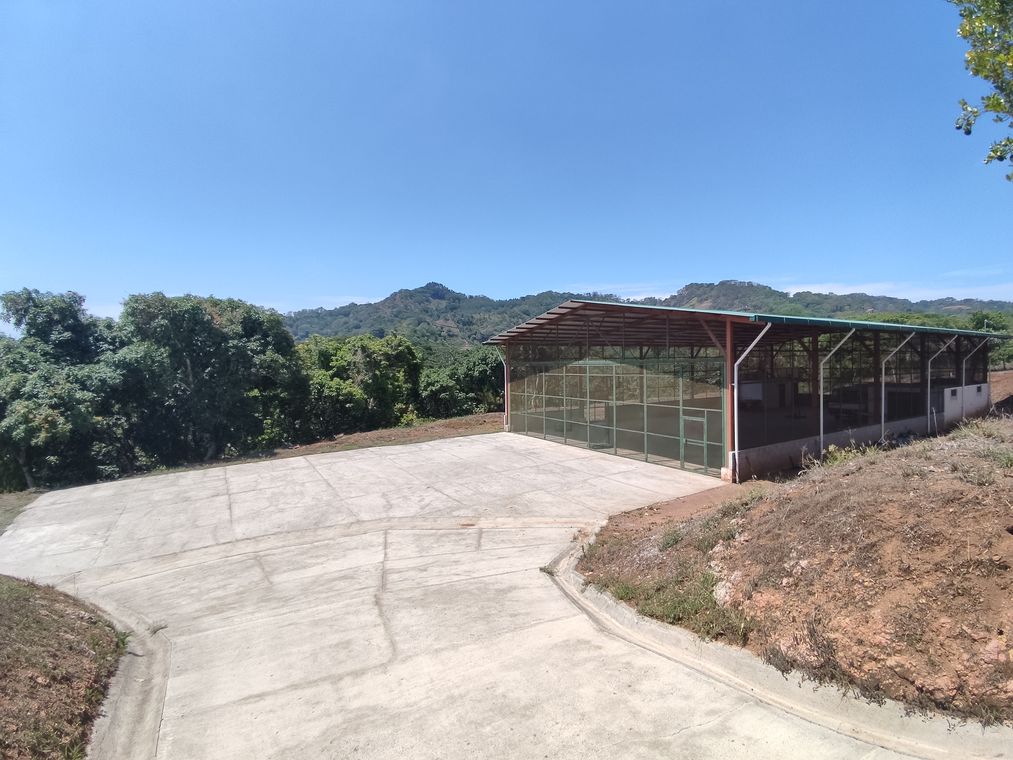 4 bed Single Family Homes For Sale in Atenas, Alajuela - thumb 11