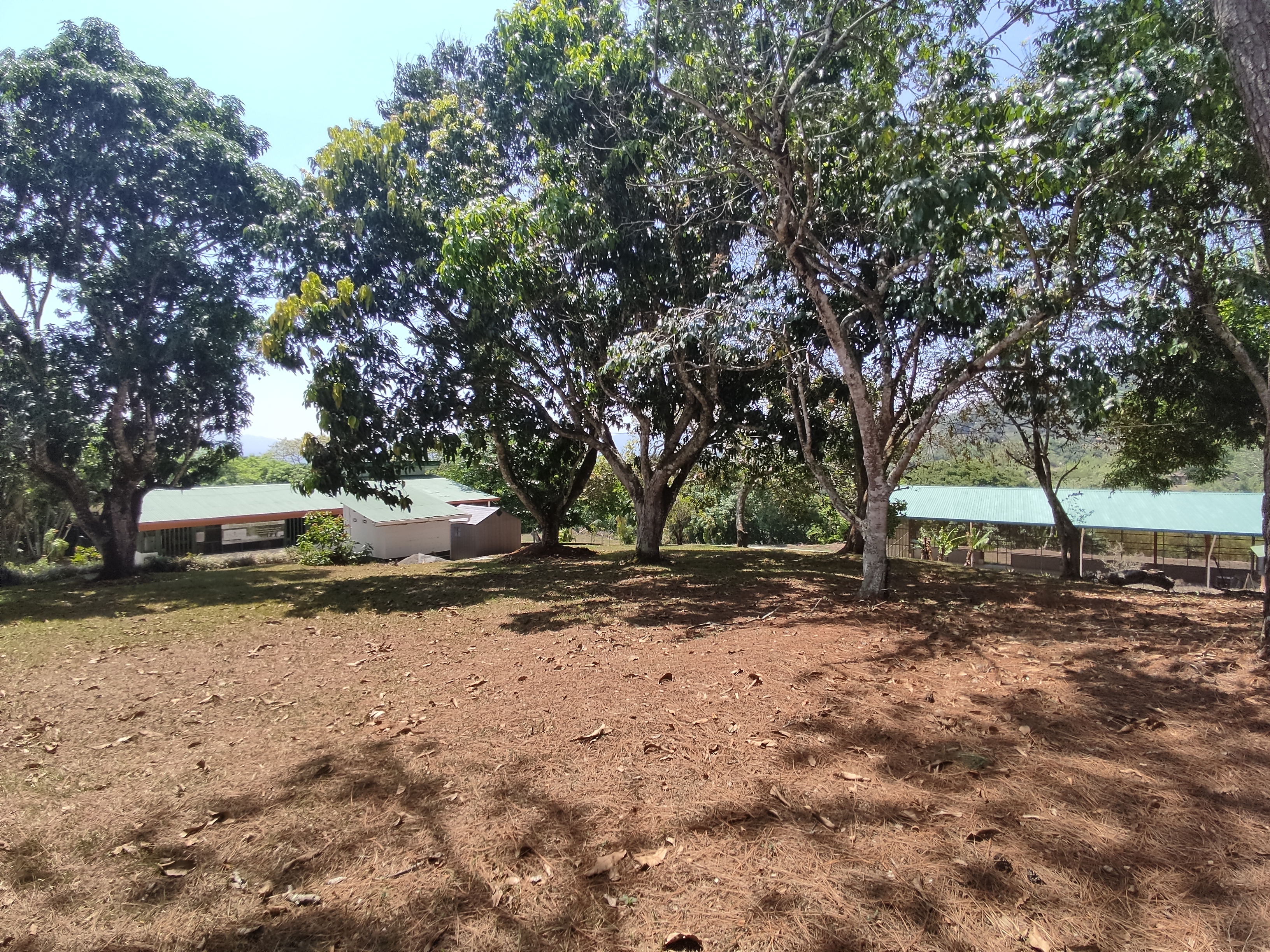 4 bed Single Family Homes For Sale in Atenas, Alajuela - thumb 18