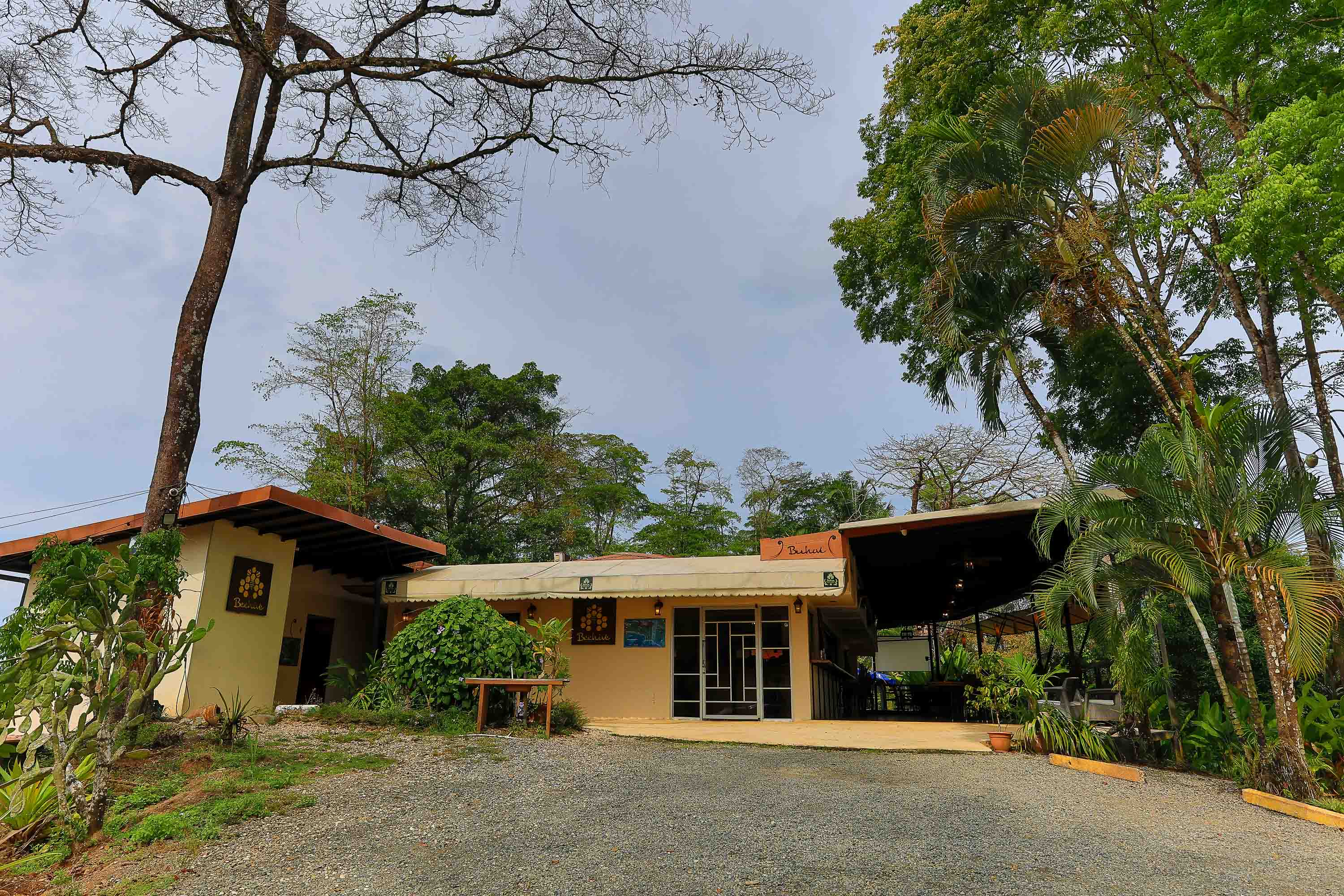 0 bed Commercial For Sale in Uvita, Puntarenas - thumb 6