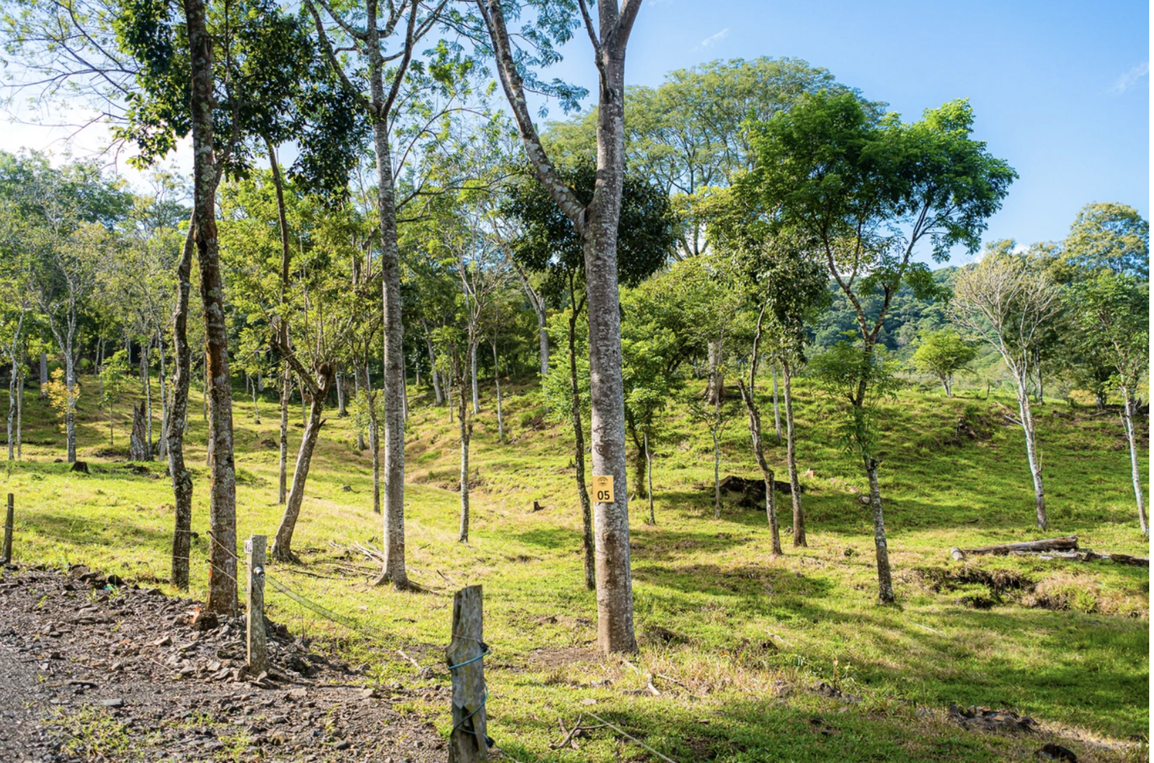0 bed Land For Sale in San Pablo, San Jose - thumb 6