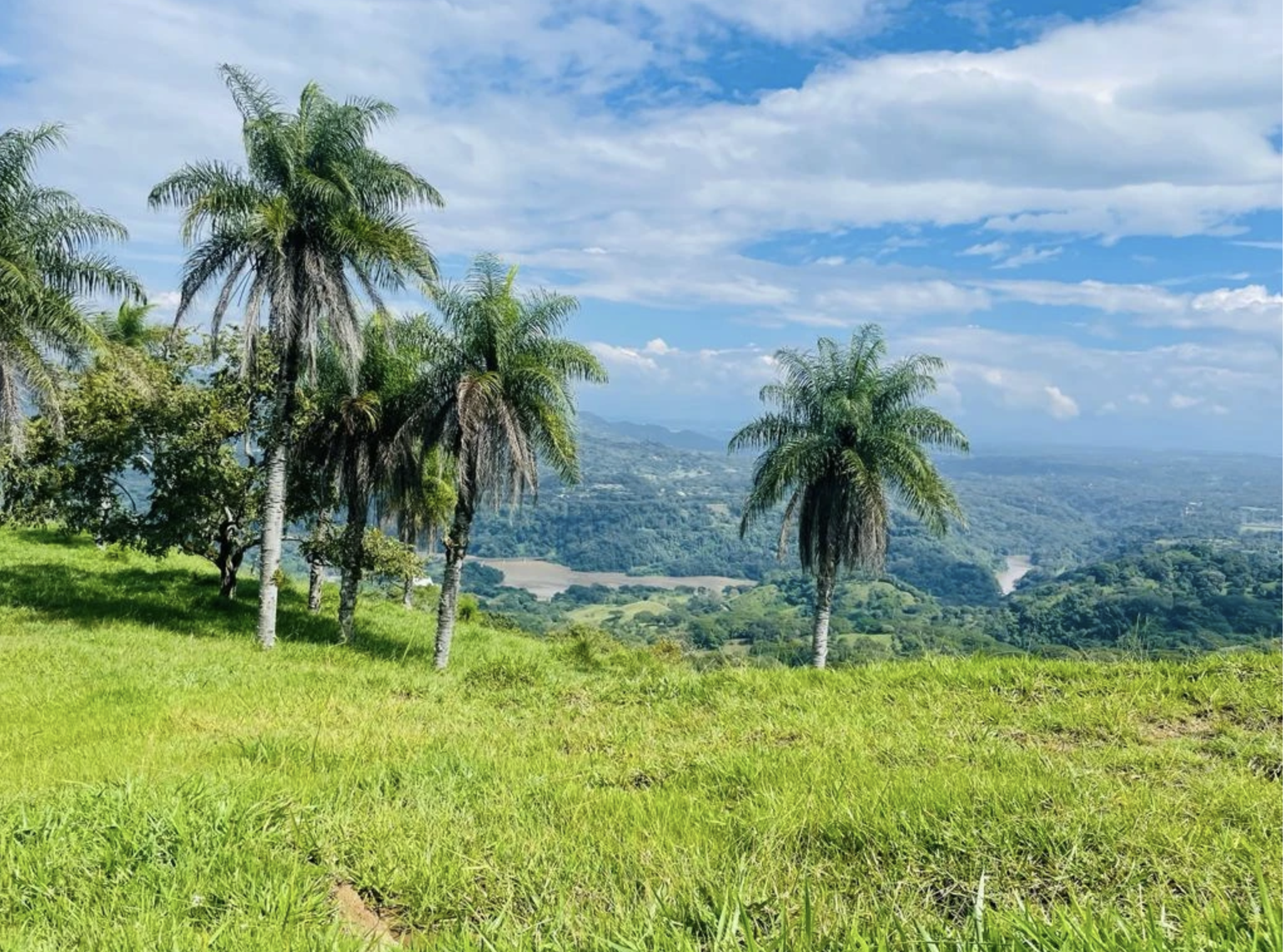 0 bed Land For Sale in San Pablo, San Jose - thumb 9