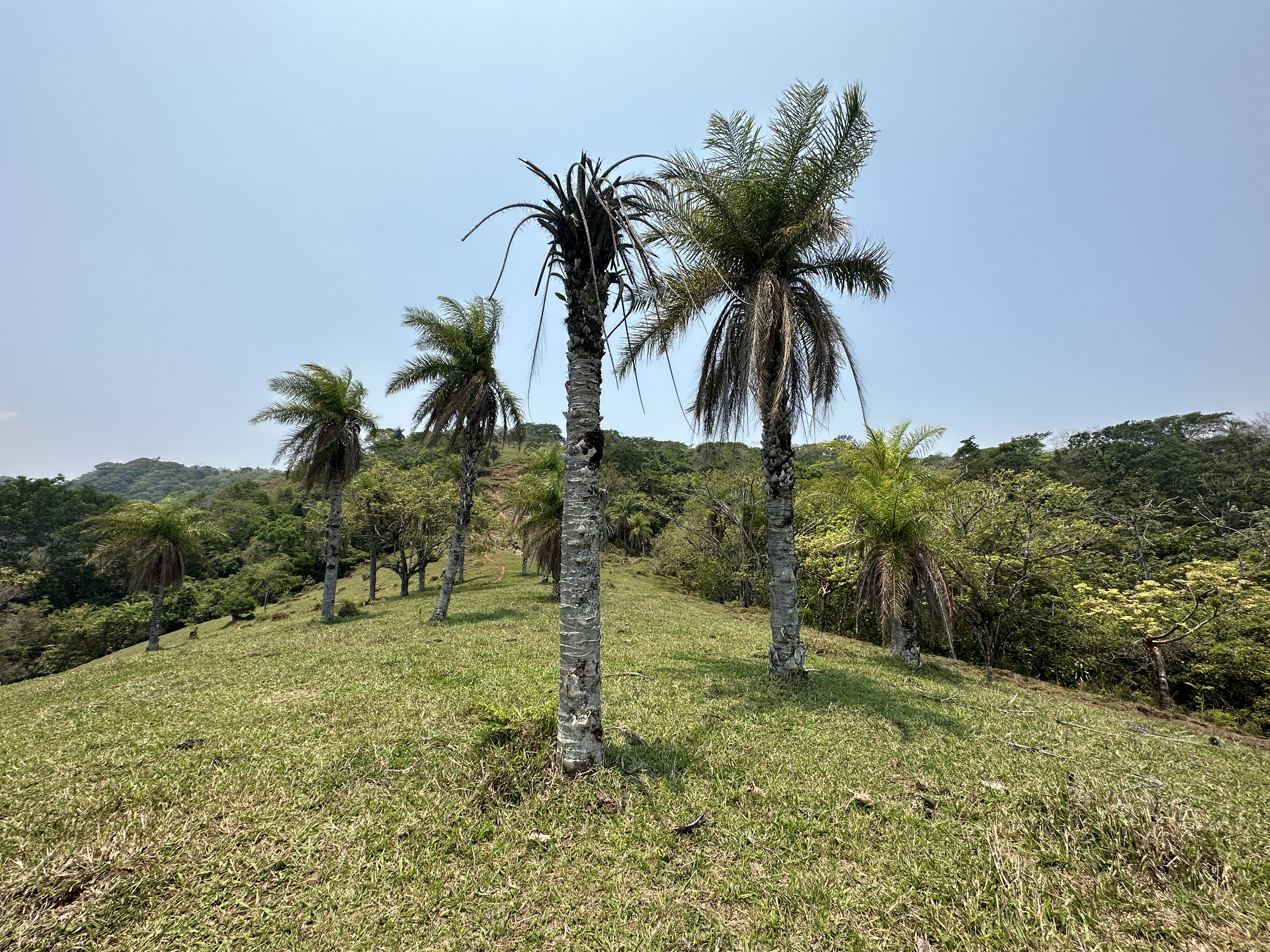 0 bed Land For Sale in San Pablo, San Jose - thumb 12