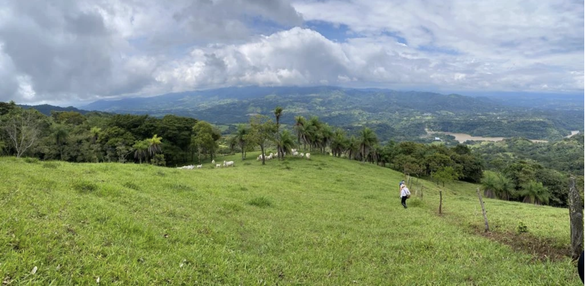 0 bed Land For Sale in San Pablo, San Jose - thumb 8