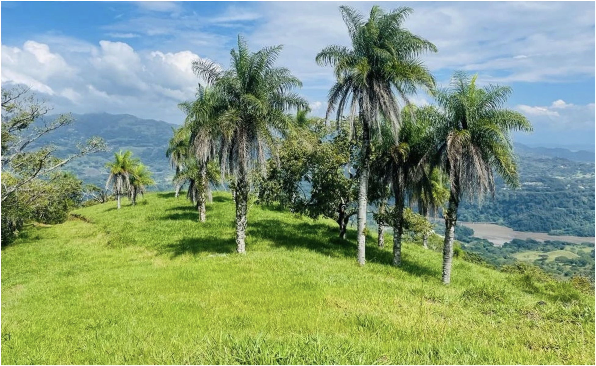 0 bed Land For Sale in San Pablo, San Jose - thumb 1