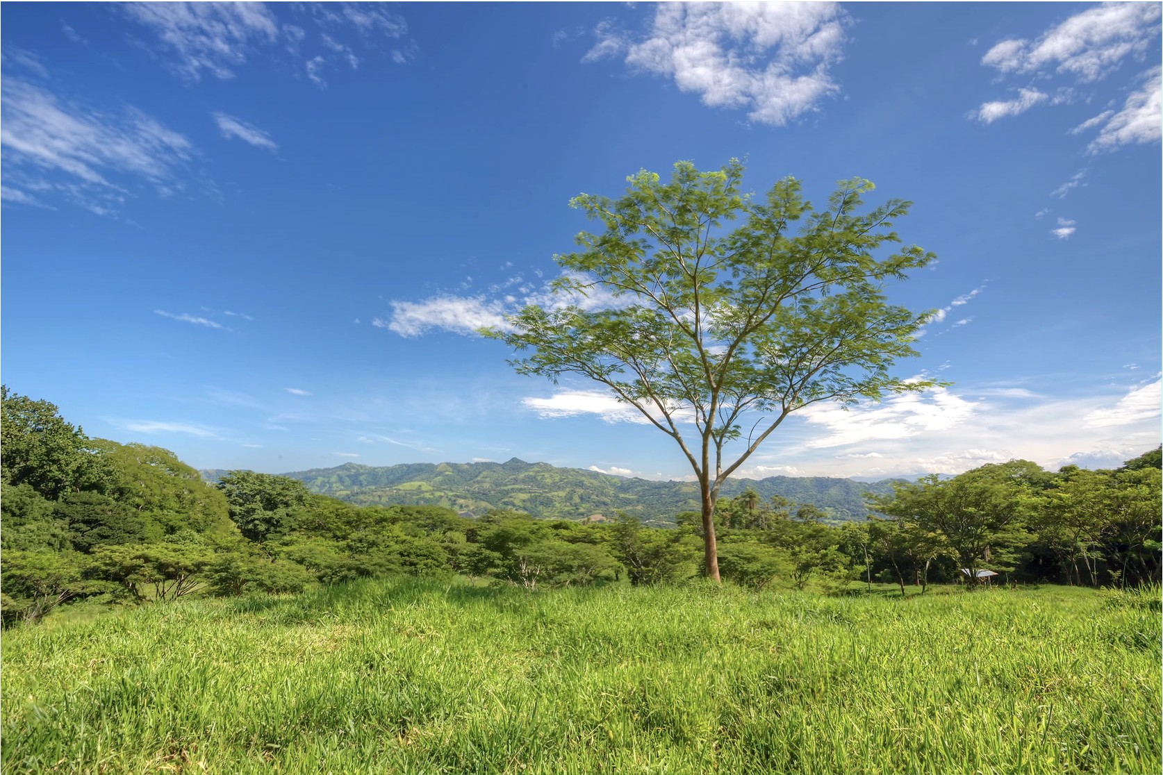 0 bed Land For Sale in San Pablo, San Jose - thumb 2