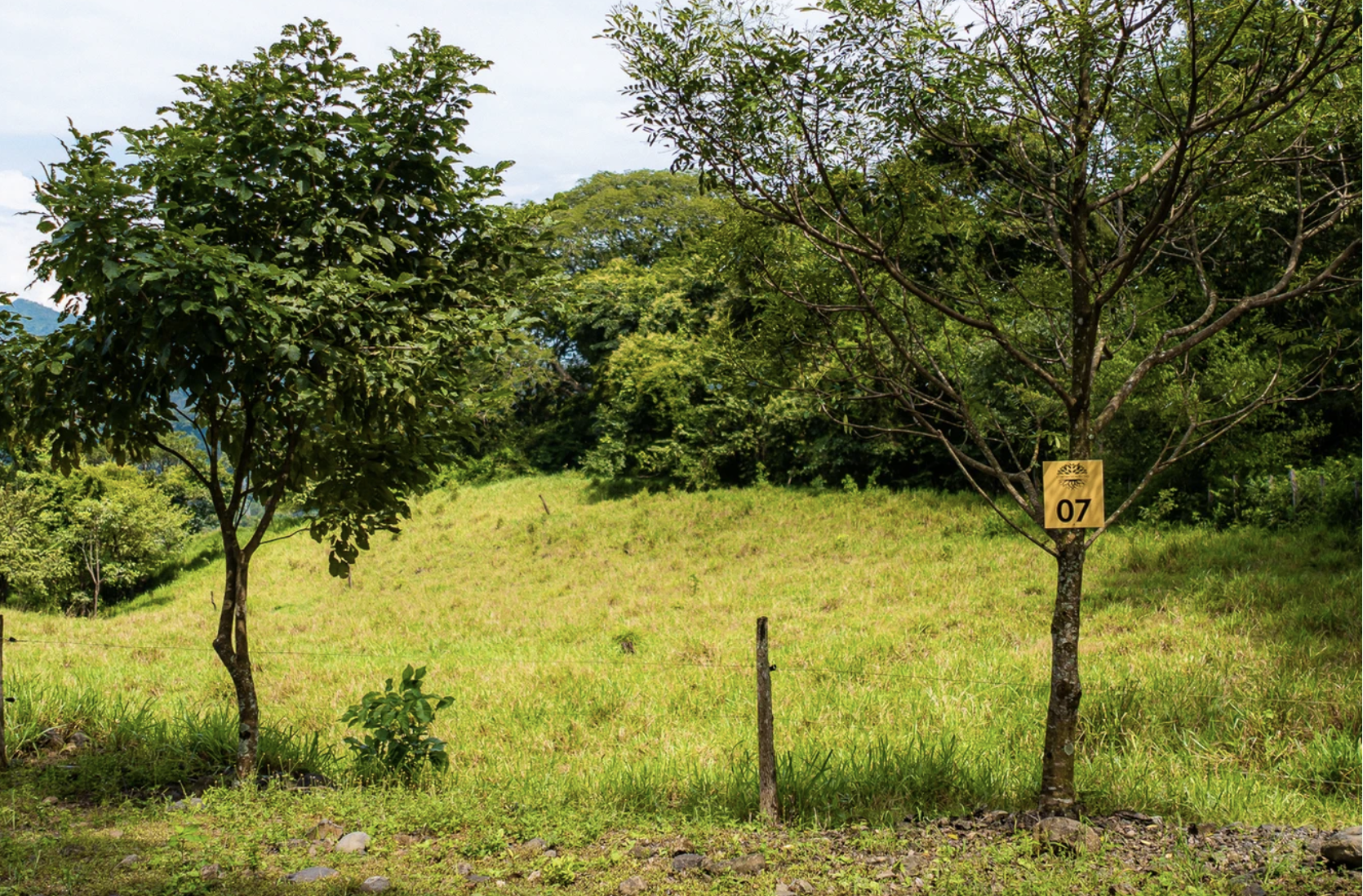 0 bed Land For Sale in San Pablo, San Jose - thumb 7