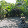  - Amazing Beachfront Property Malpais