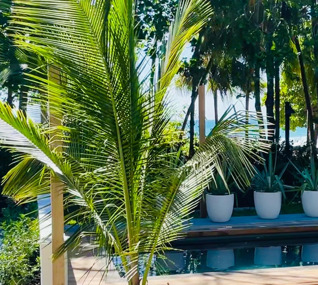 0 bed Land For Sale in Malpais, Puntarenas - thumb 14