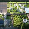  - Amazing Beachfront Property Malpais