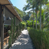  - Amazing Beachfront Property Malpais