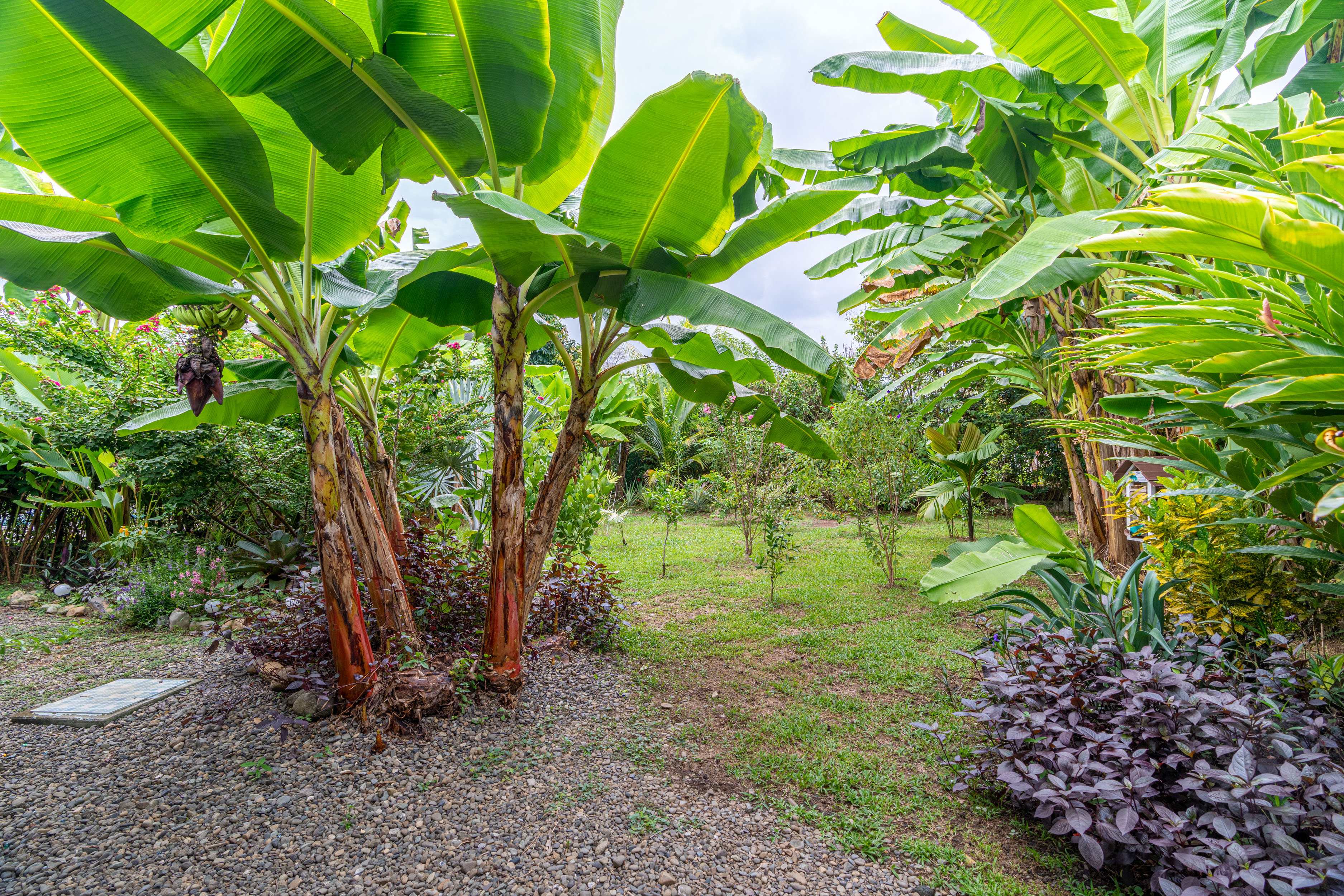 1 bed Single Family Homes For Sale in Uvita, Puntarenas - thumb 21