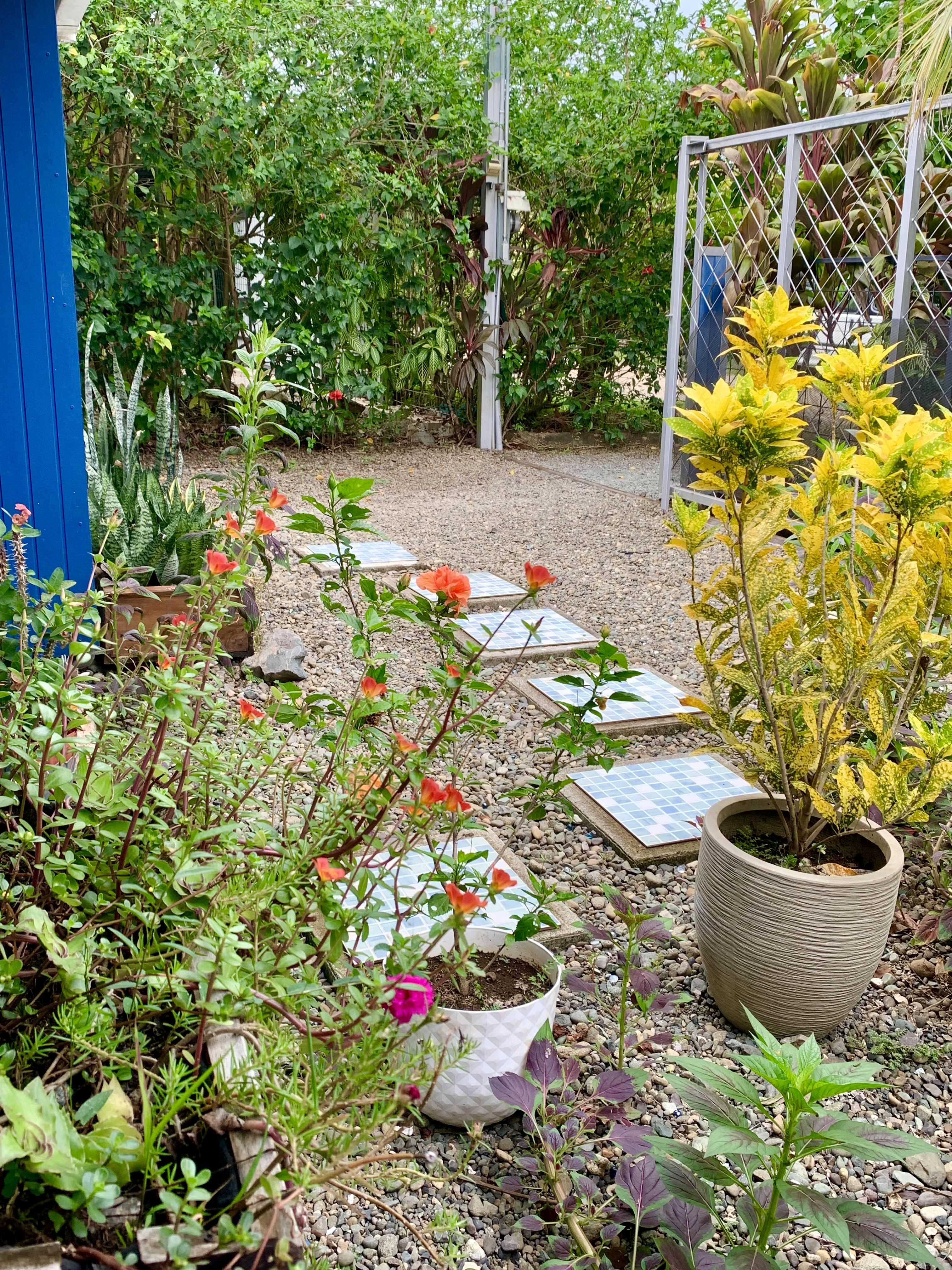 1 bed Single Family Homes For Sale in Uvita, Puntarenas - thumb 29