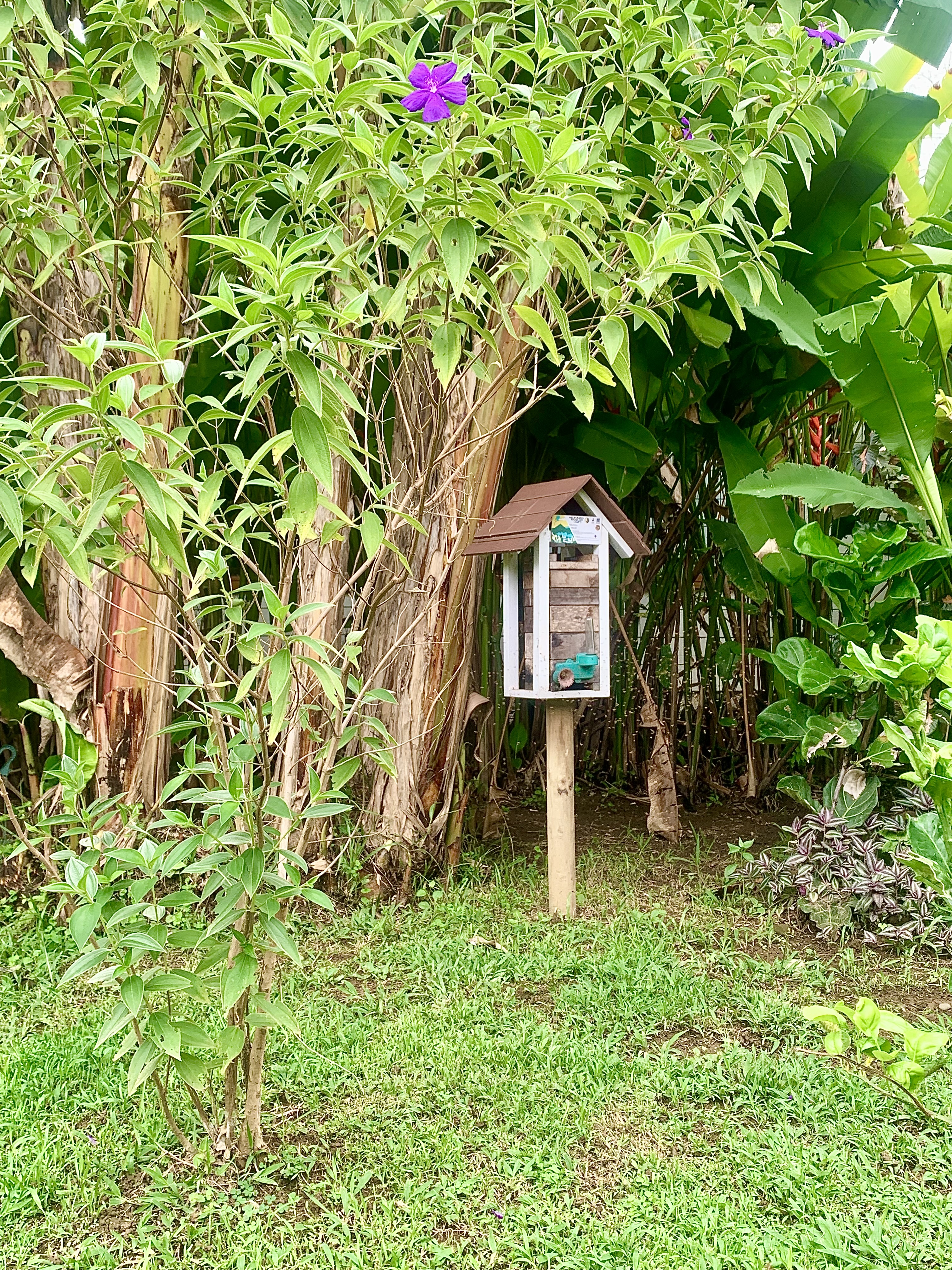 1 bed Single Family Homes For Sale in Uvita, Puntarenas - thumb 22