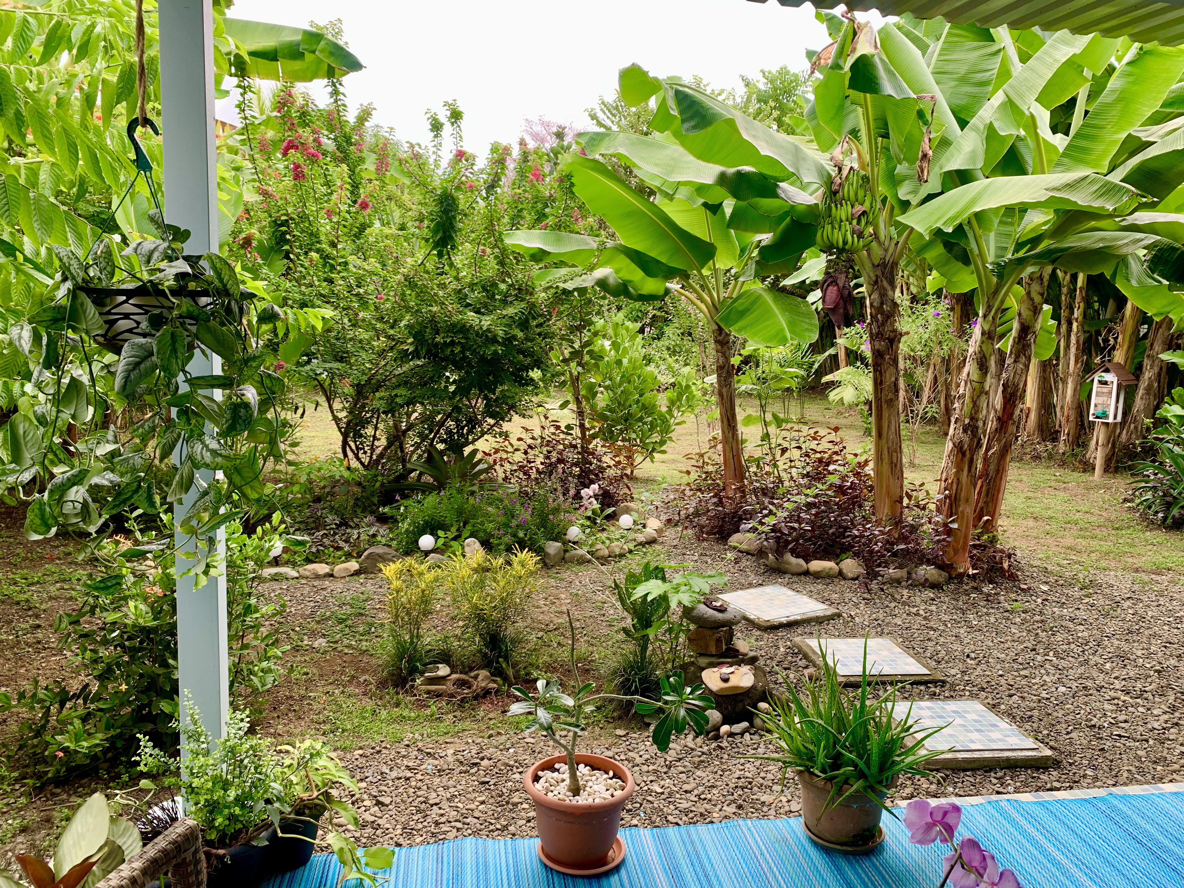 1 bed Single Family Homes For Sale in Uvita, Puntarenas - thumb 20